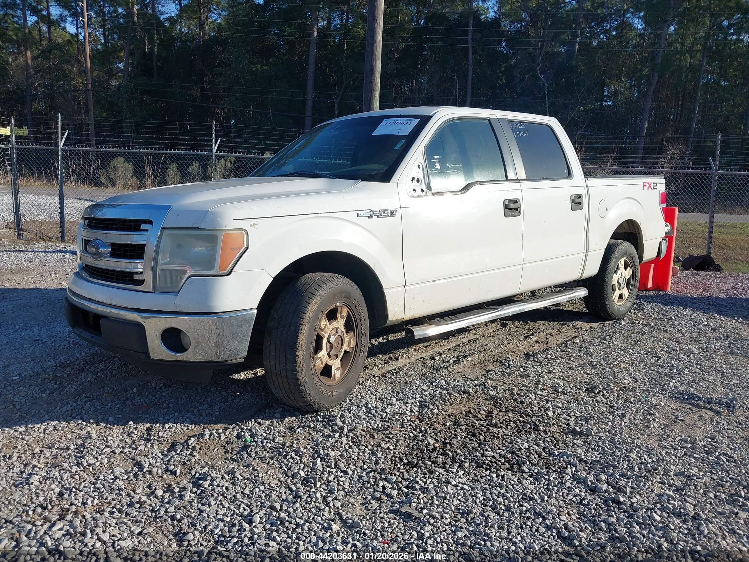 FORD F-150 image 2