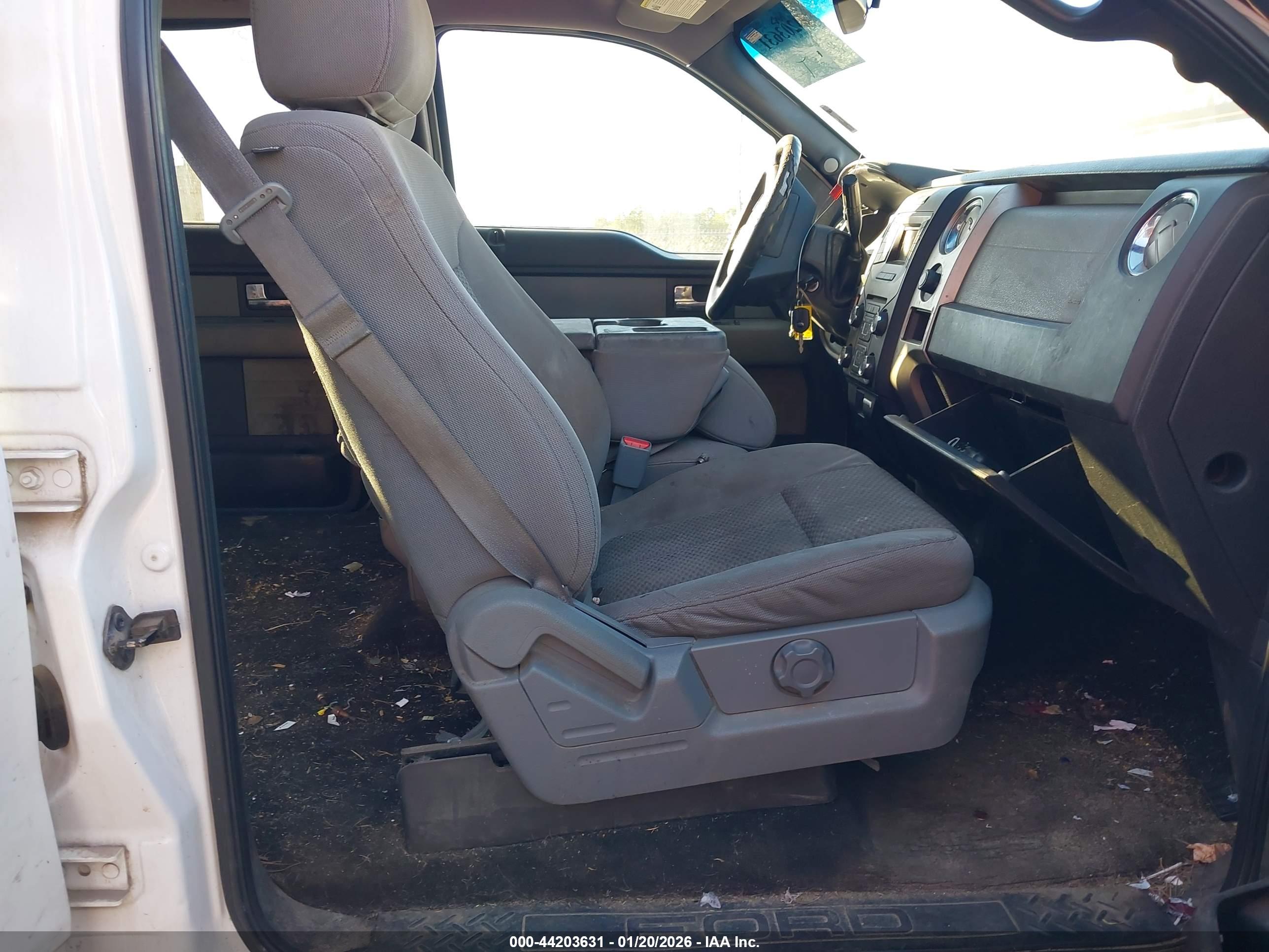 FORD F-150 image 5