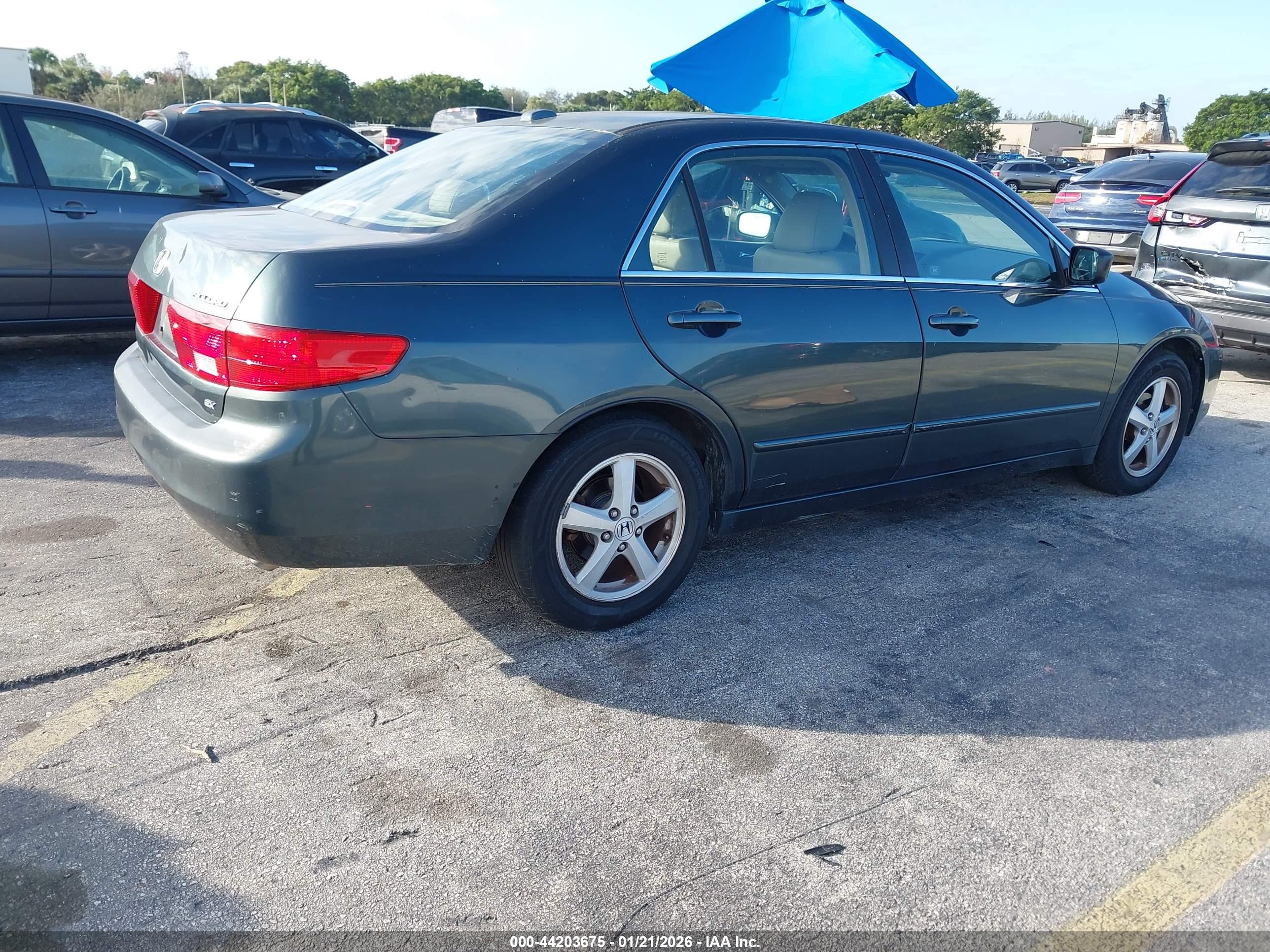 HONDA ACCORD image 4