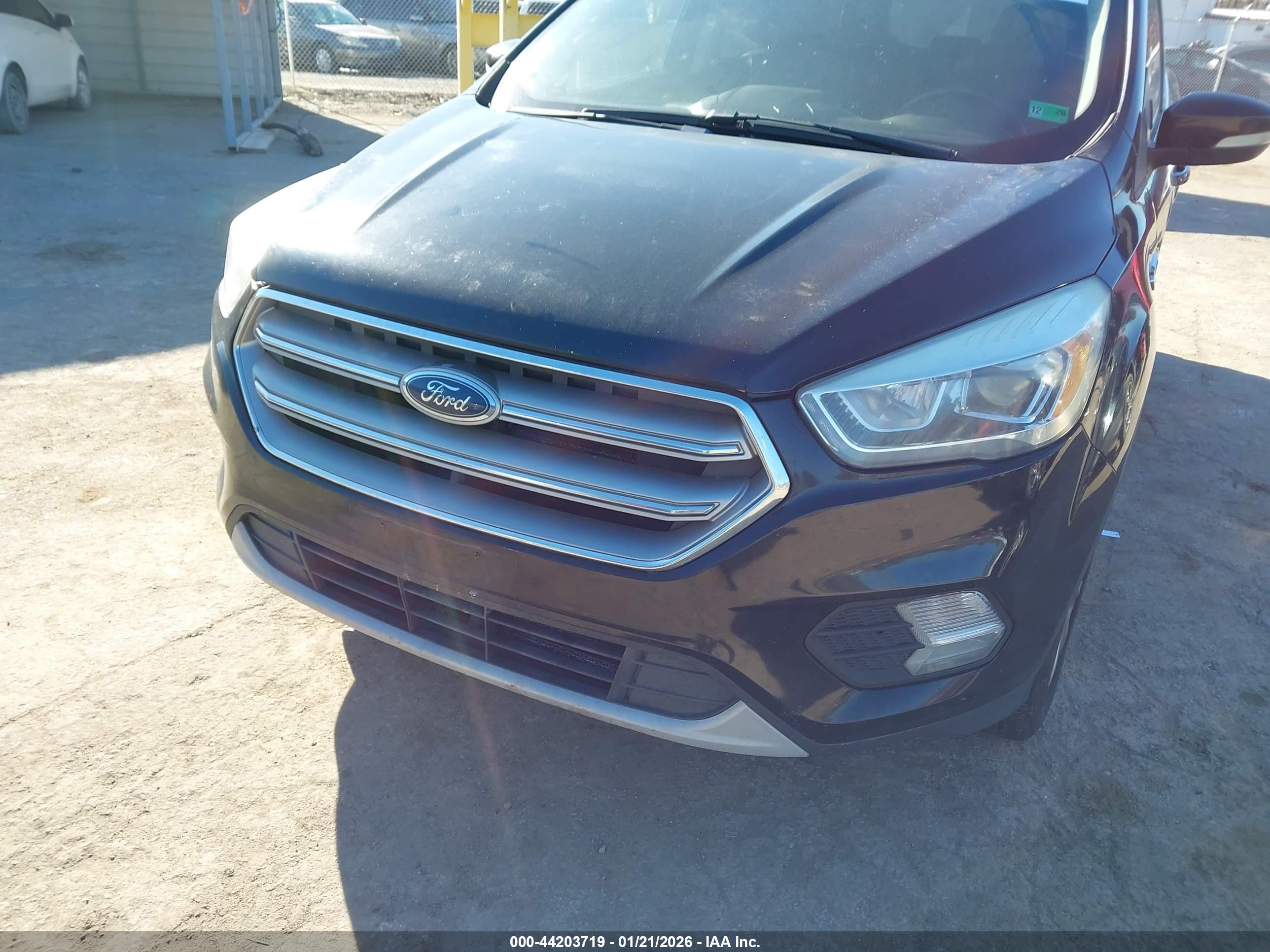 FORD ESCAPE image 6