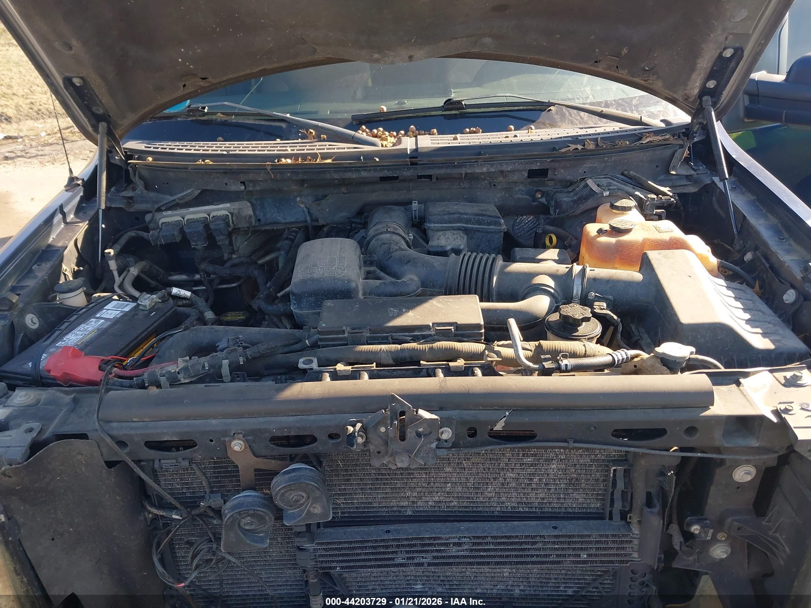 FORD F-150 image 10