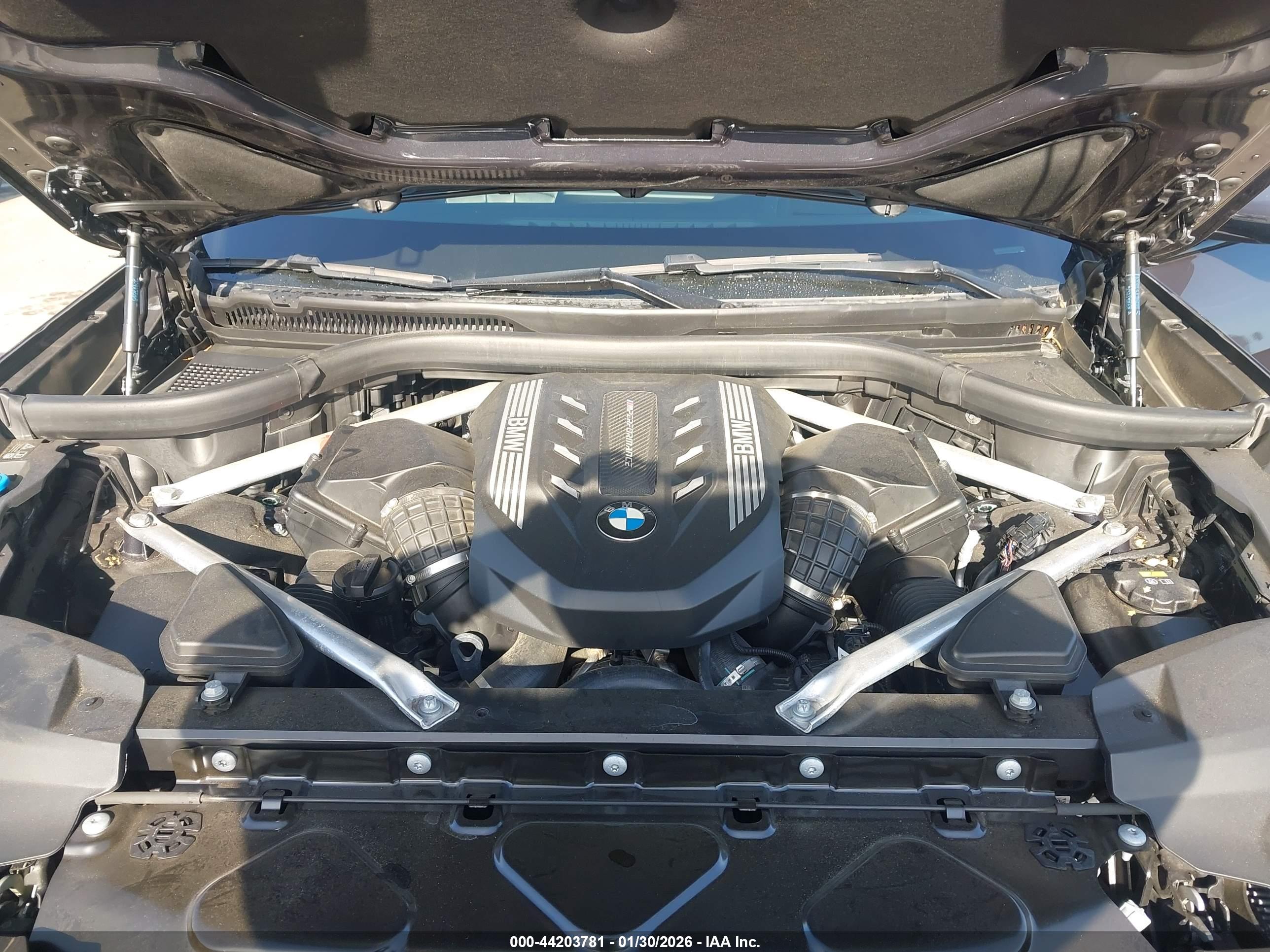 BMW X7 image 10