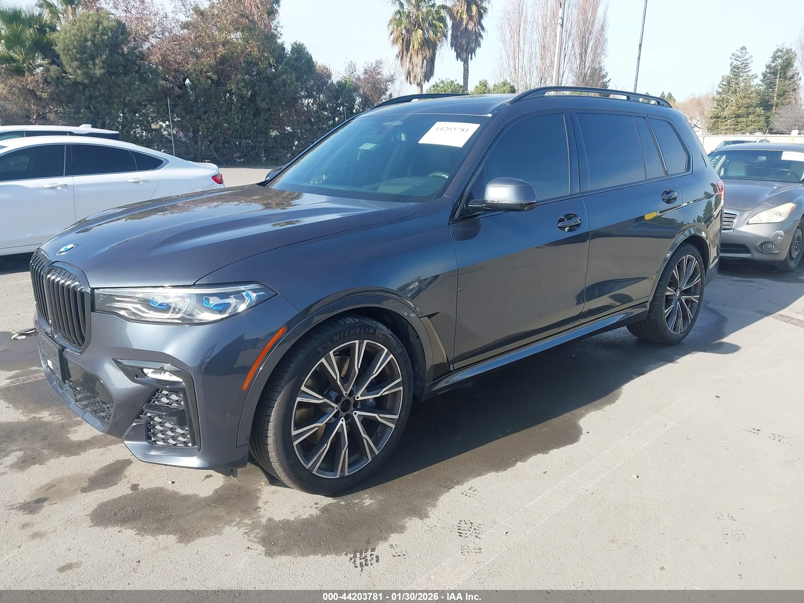 BMW X7 image 2