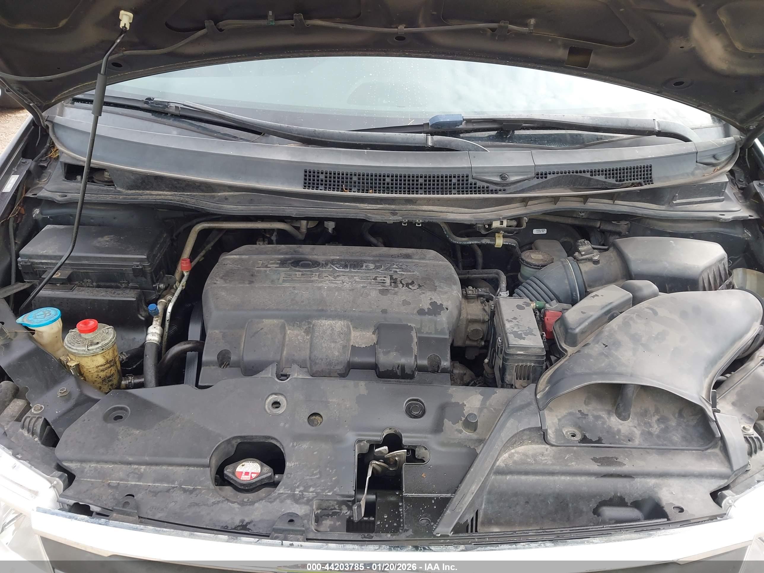 HONDA ODYSSEY image 10