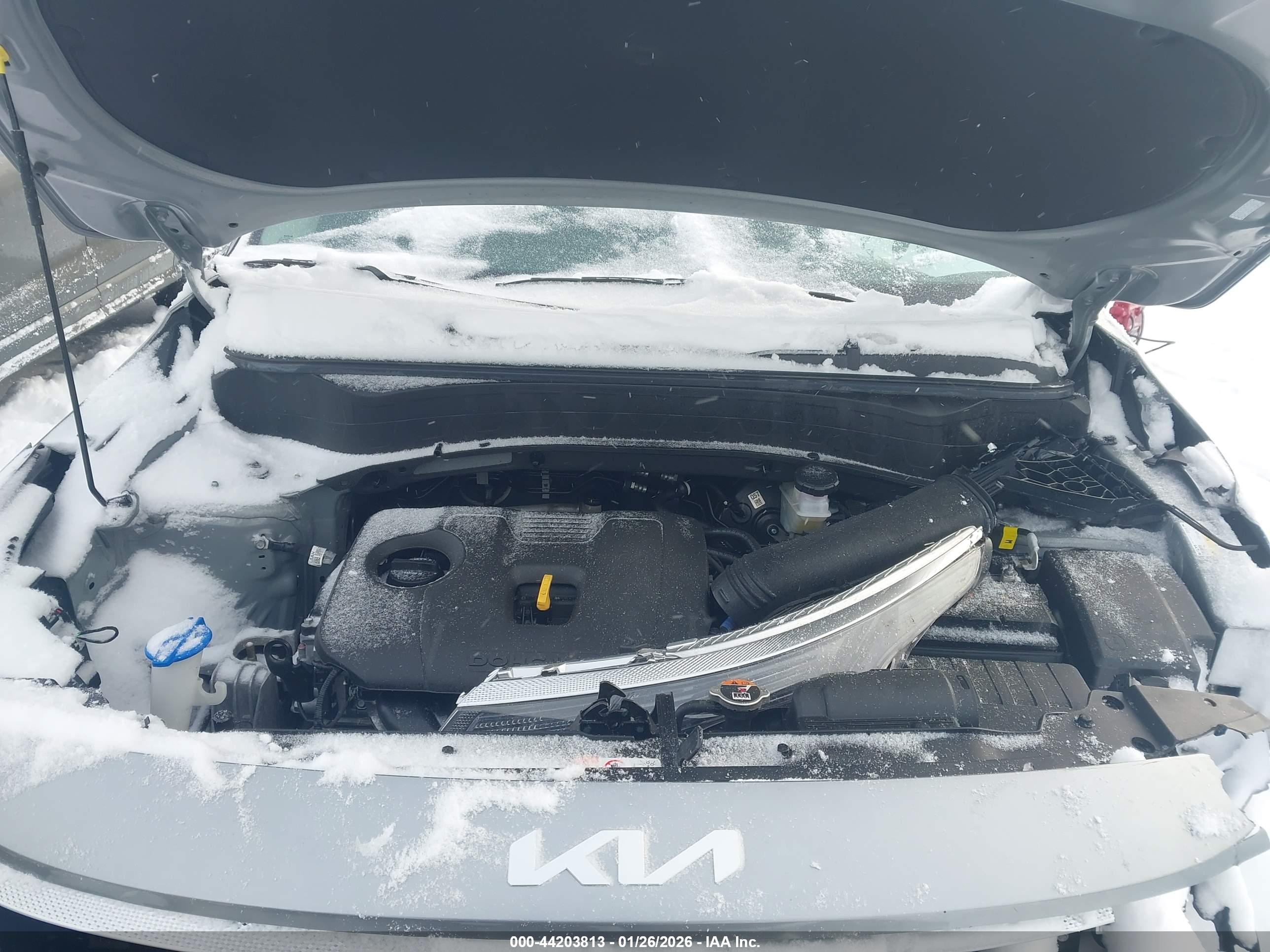 KIA SELTOS image 10