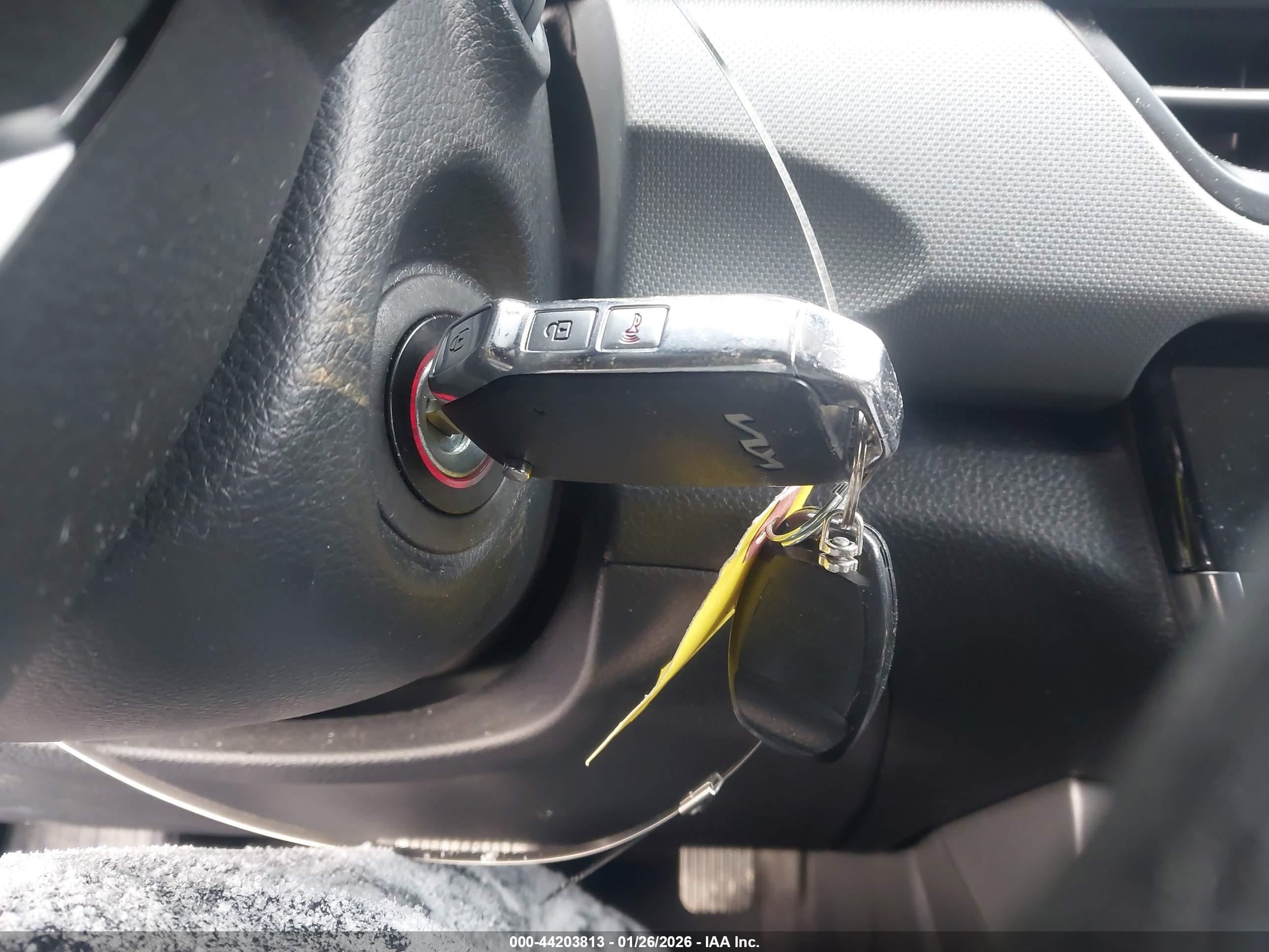 KIA SELTOS image 11