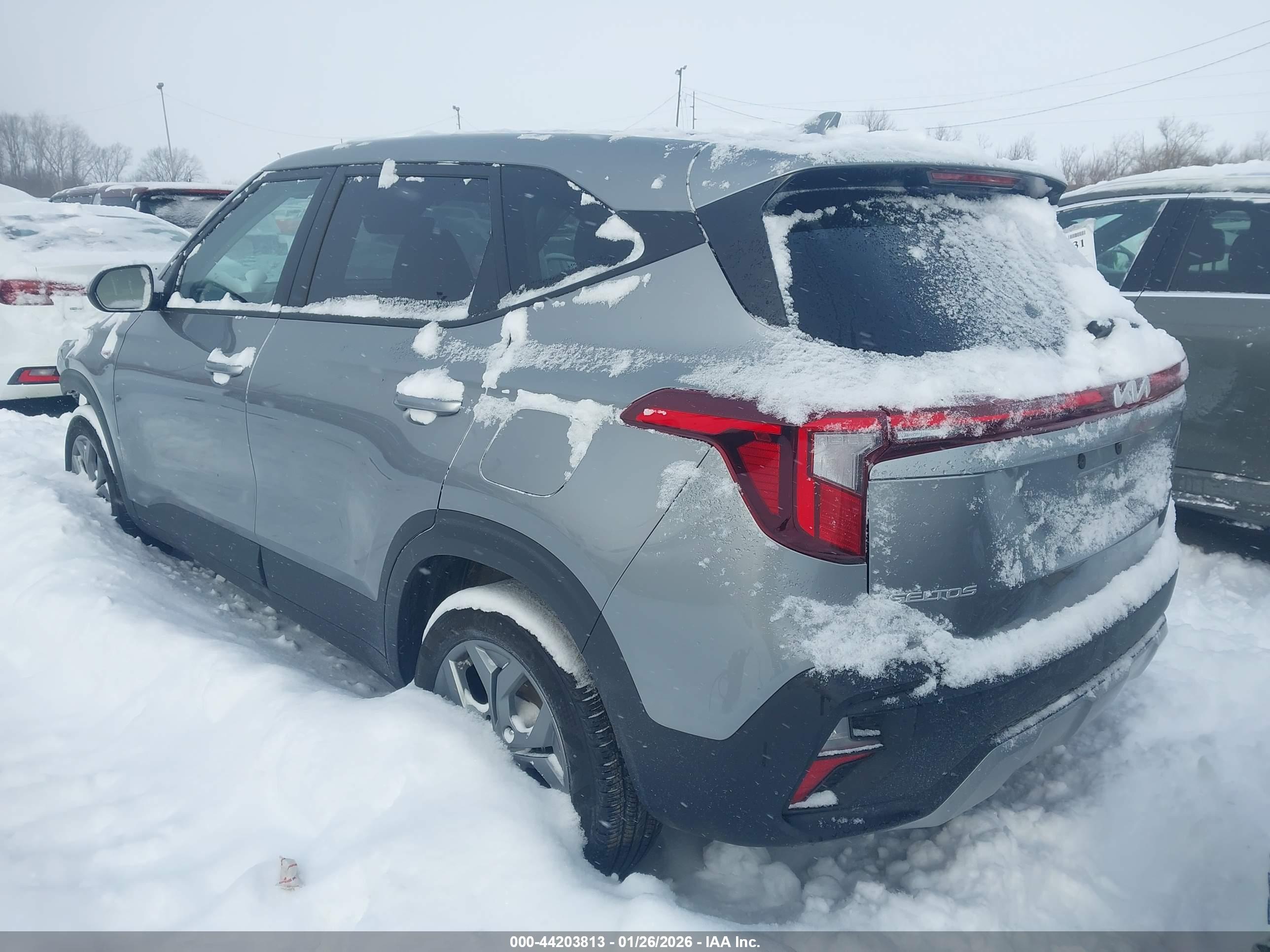 KIA SELTOS image 3