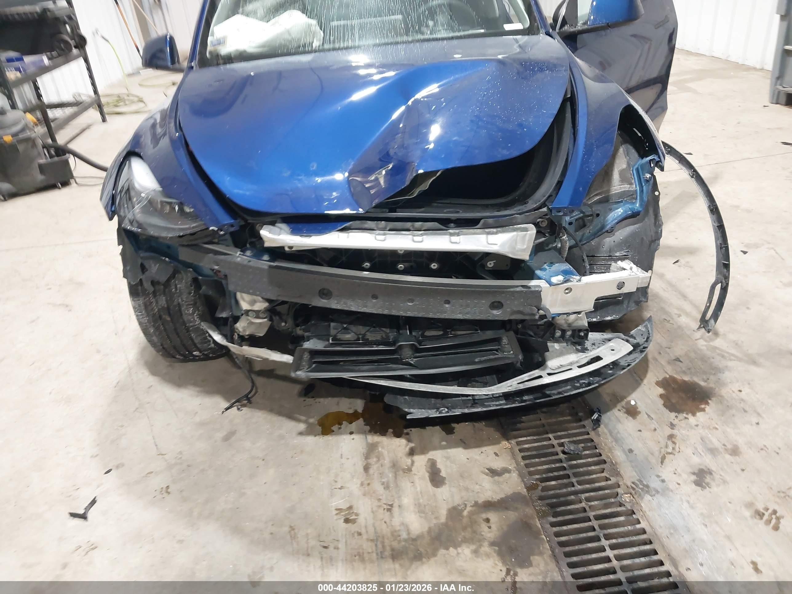 TESLA MODEL image 6