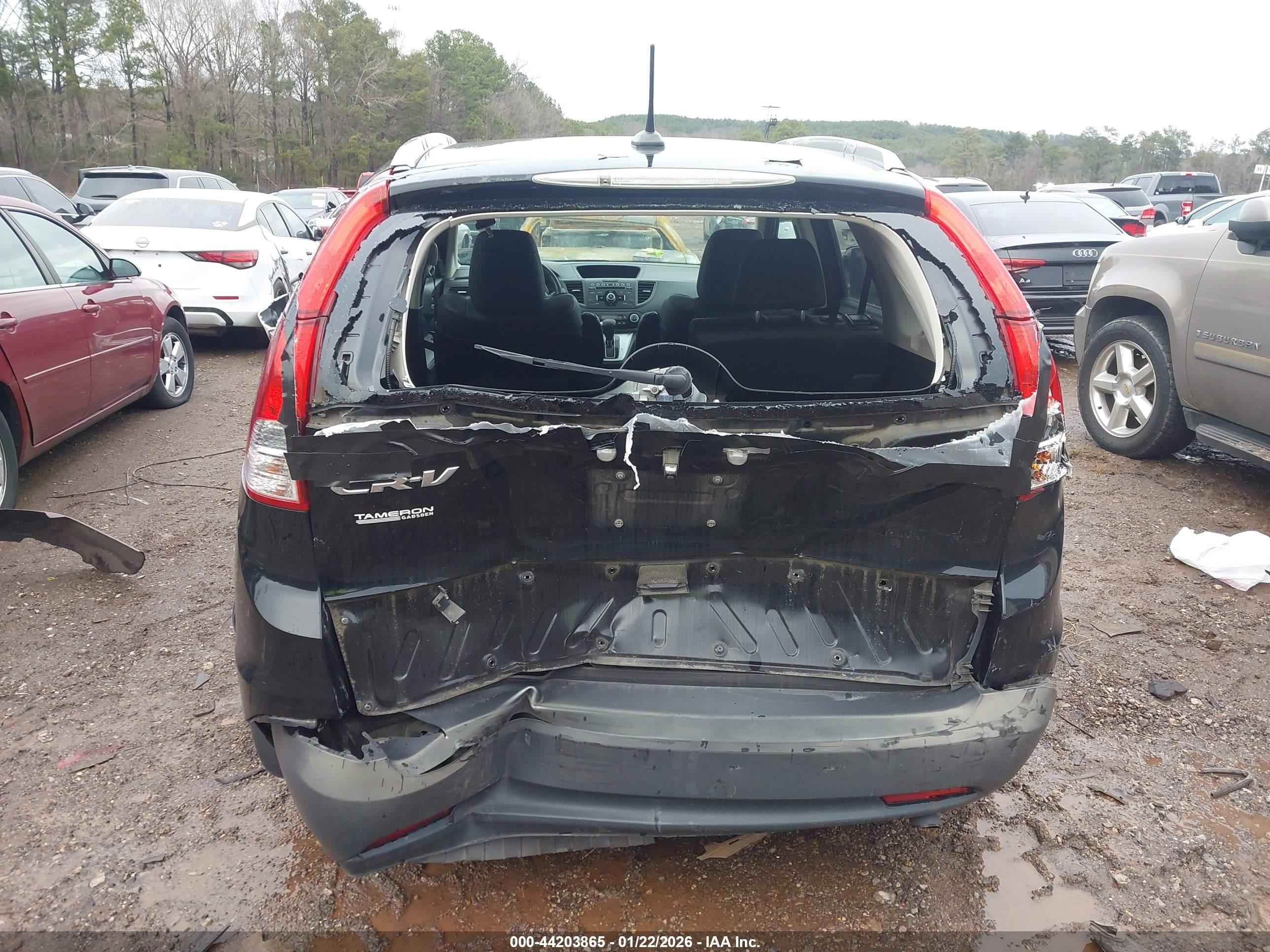 HONDA CR-V image 6
