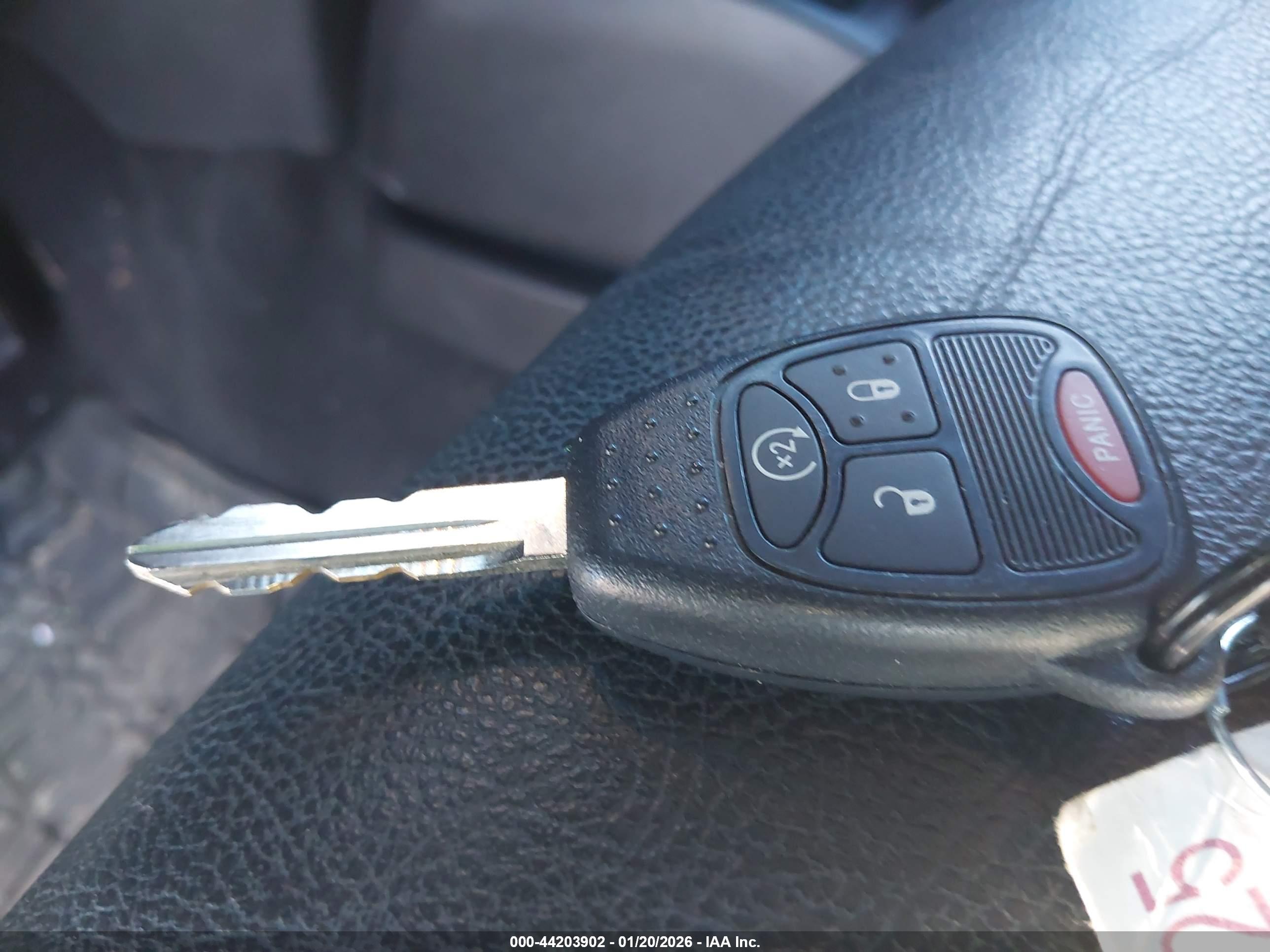JEEP WRANGLER image 11