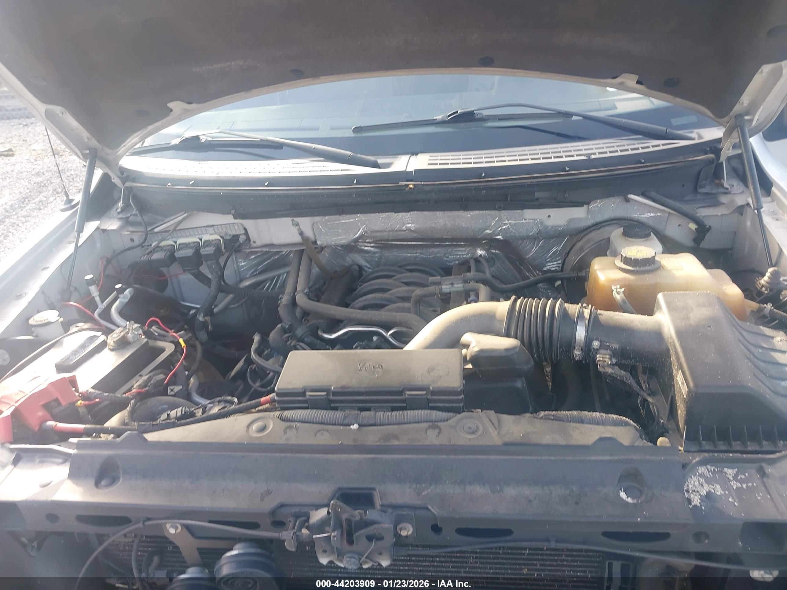 FORD F-150 image 10