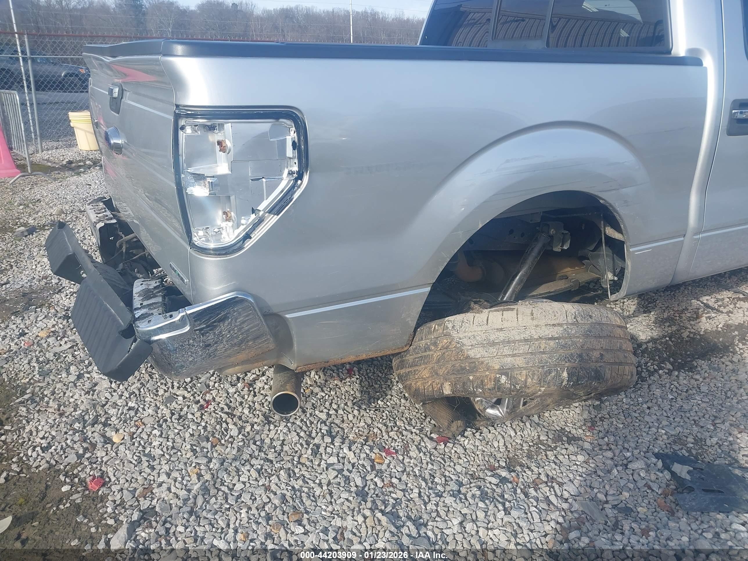 FORD F-150 image 6