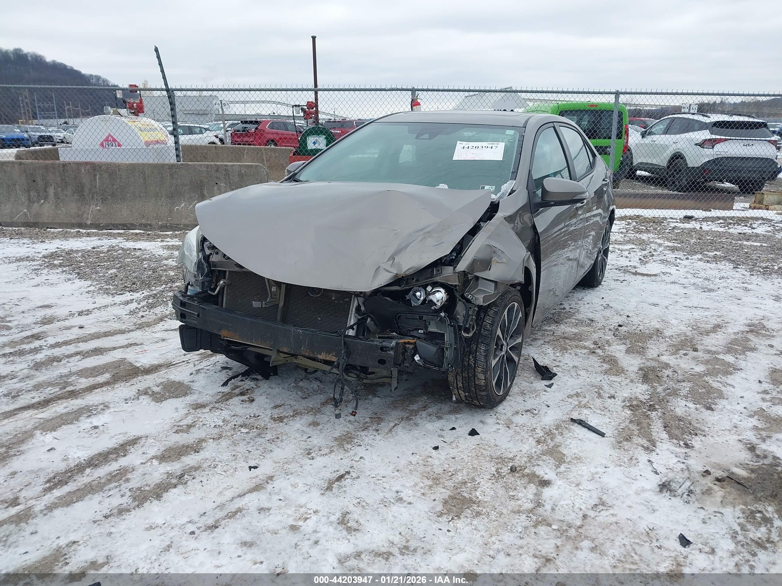 TOYOTA COROLLA image 2