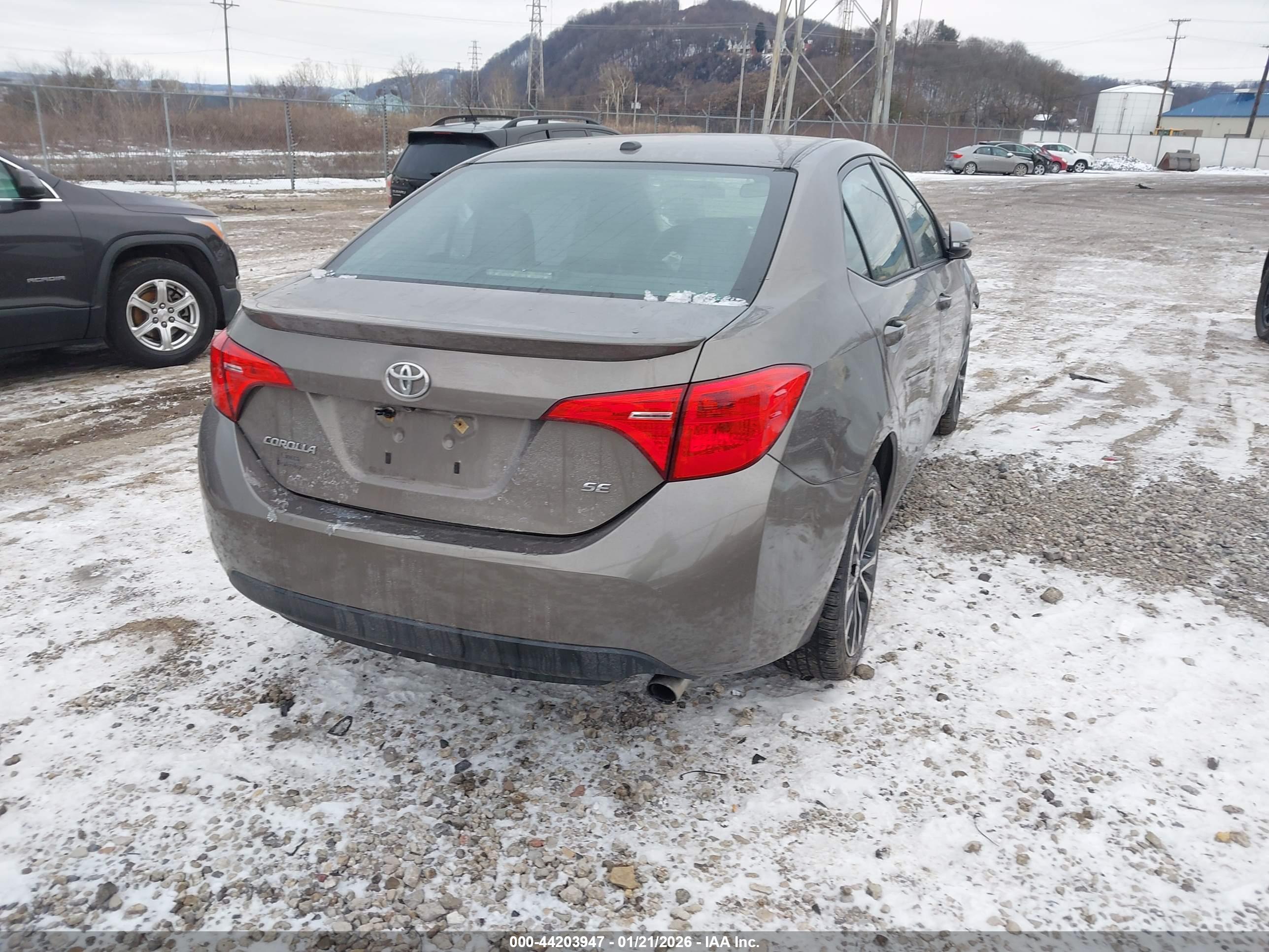 TOYOTA COROLLA image 4
