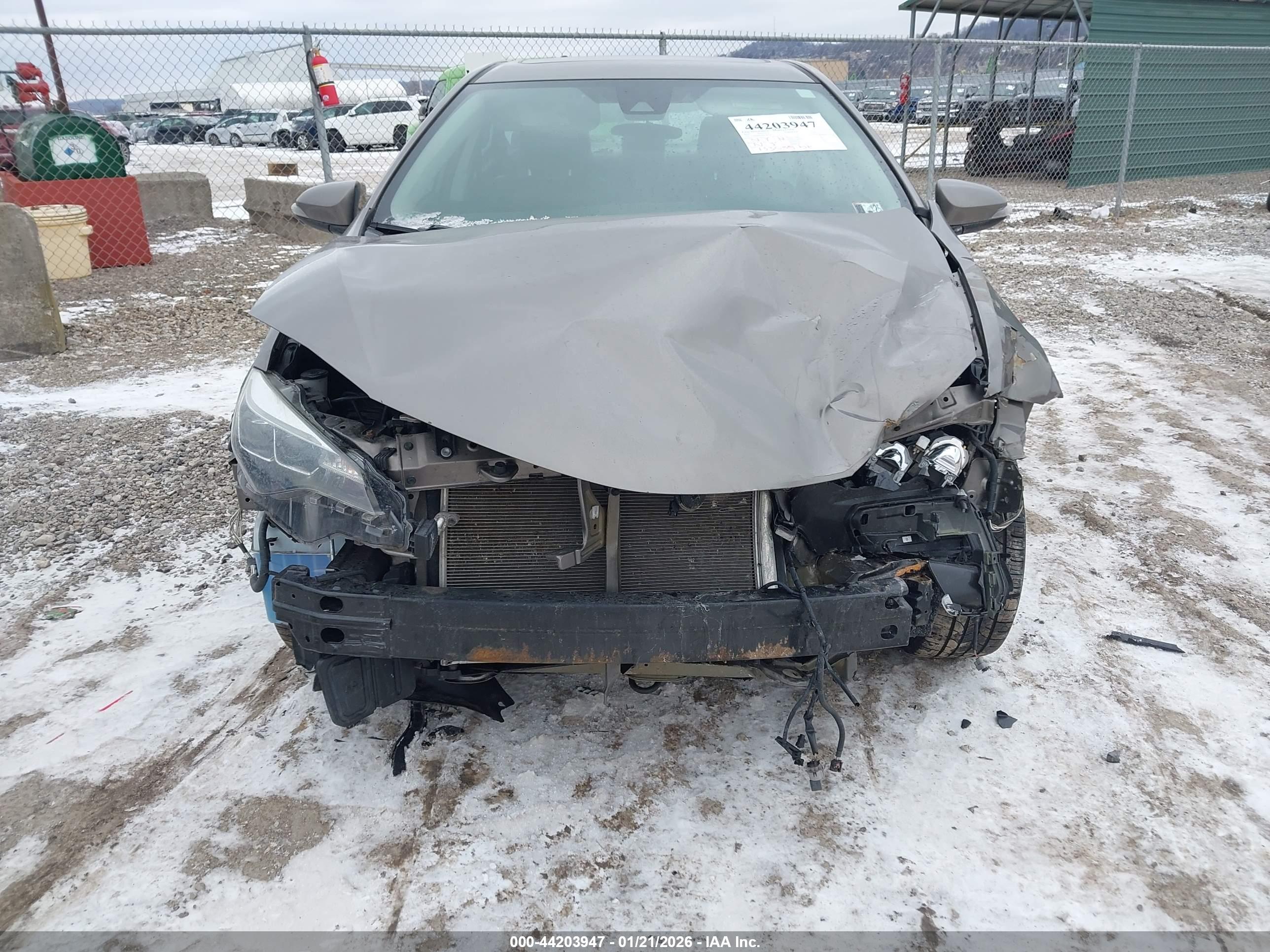 TOYOTA COROLLA image 6