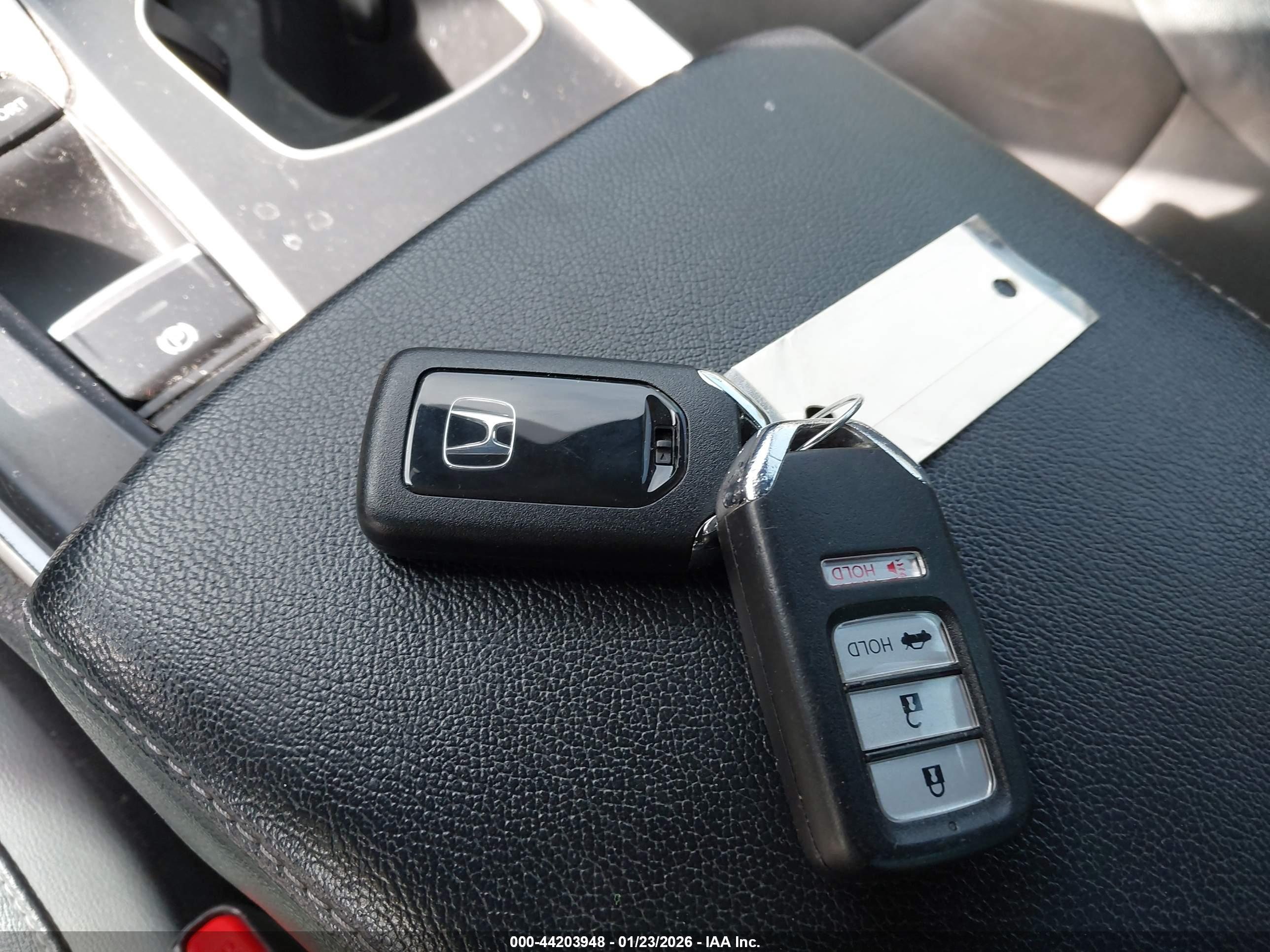 HONDA ACCORD image 11