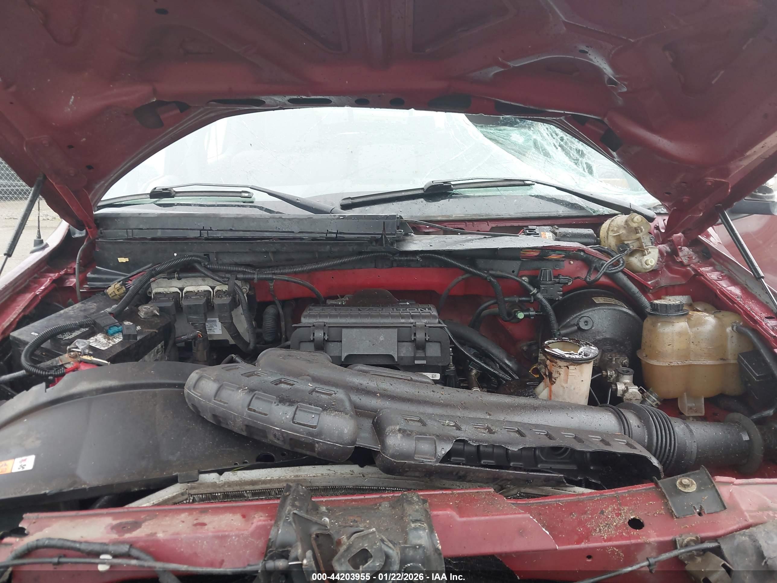 FORD F-150 image 10