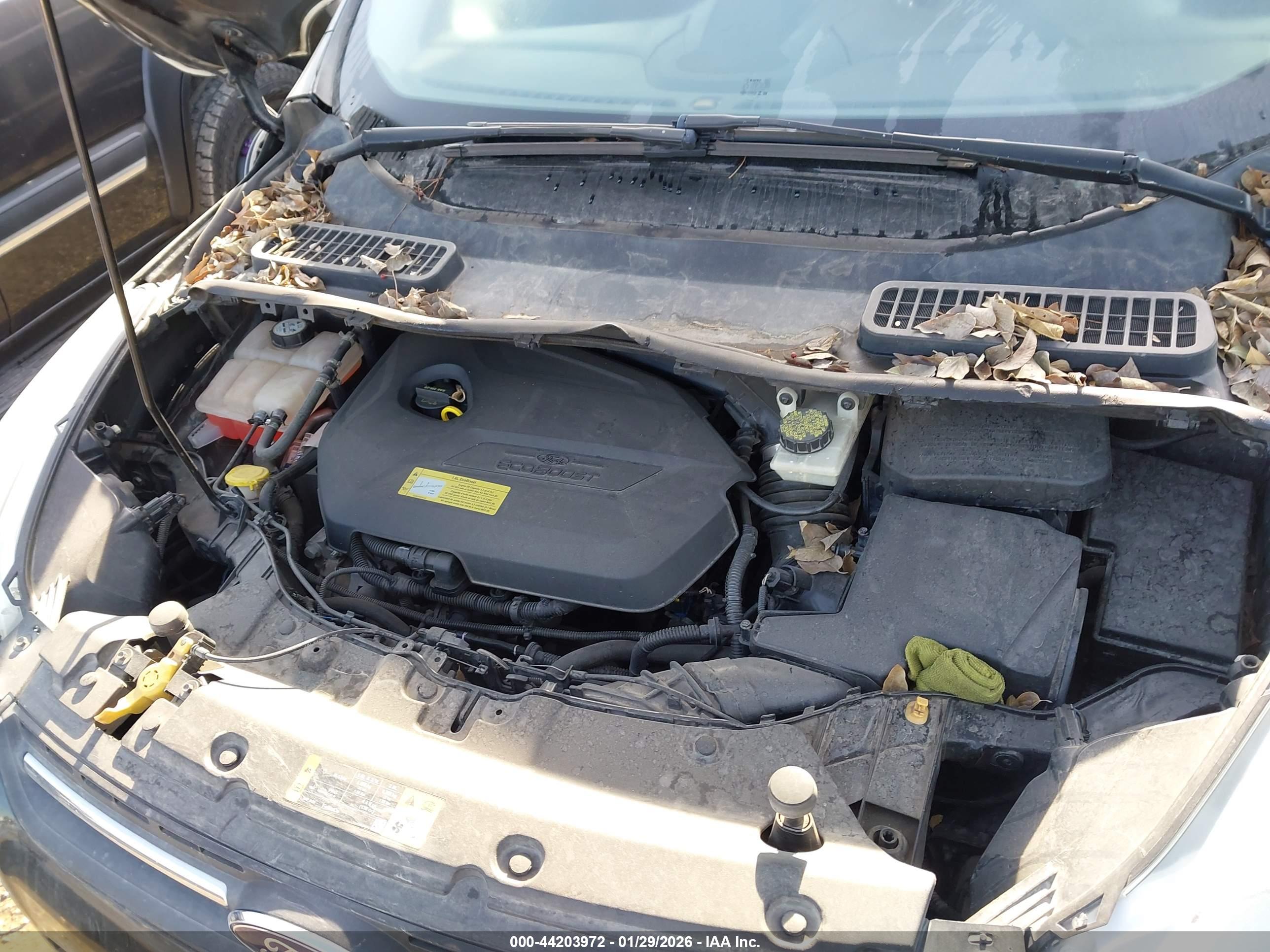 FORD ESCAPE image 10