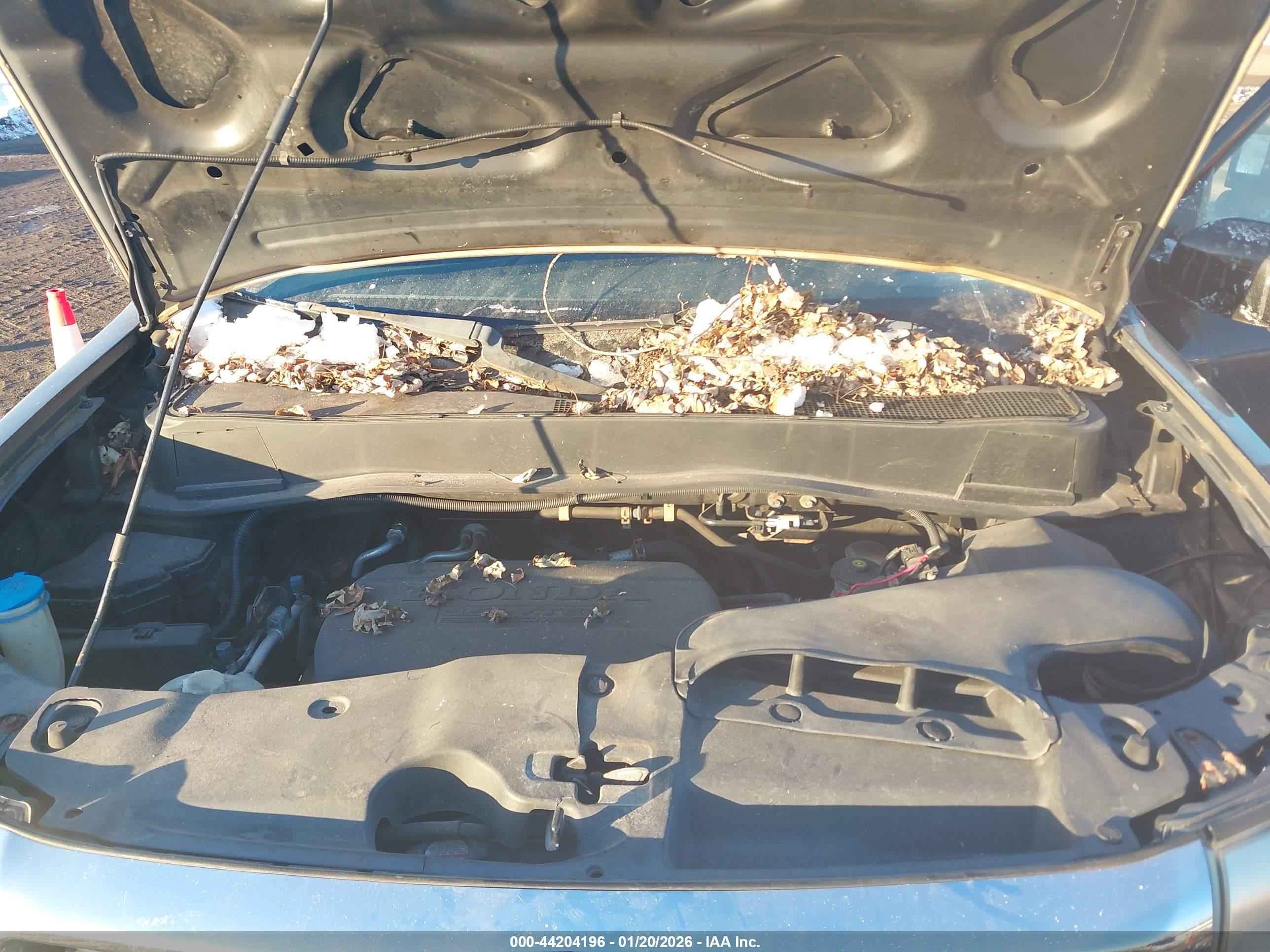 HONDA PILOT image 10