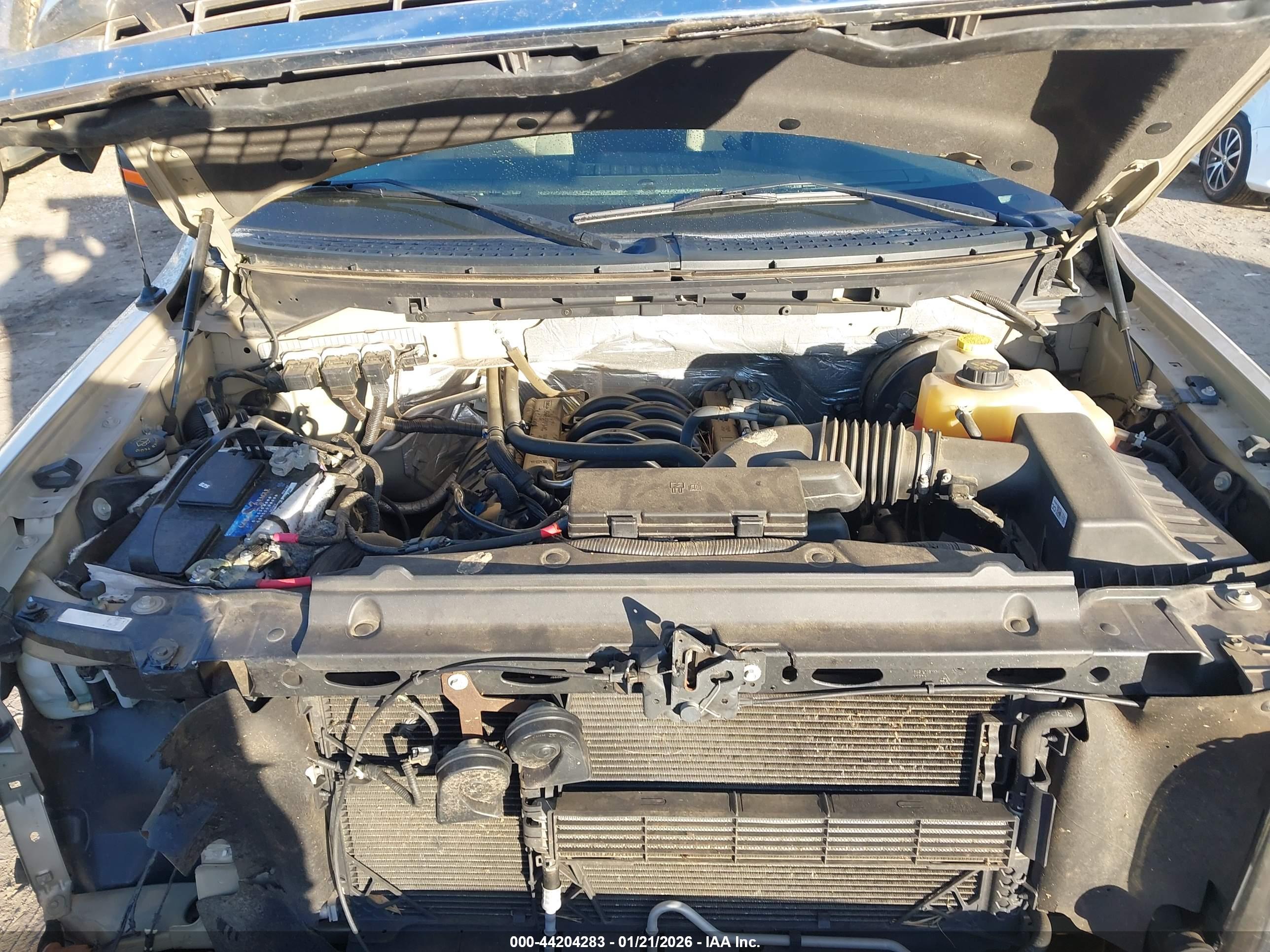 FORD F-150 image 10