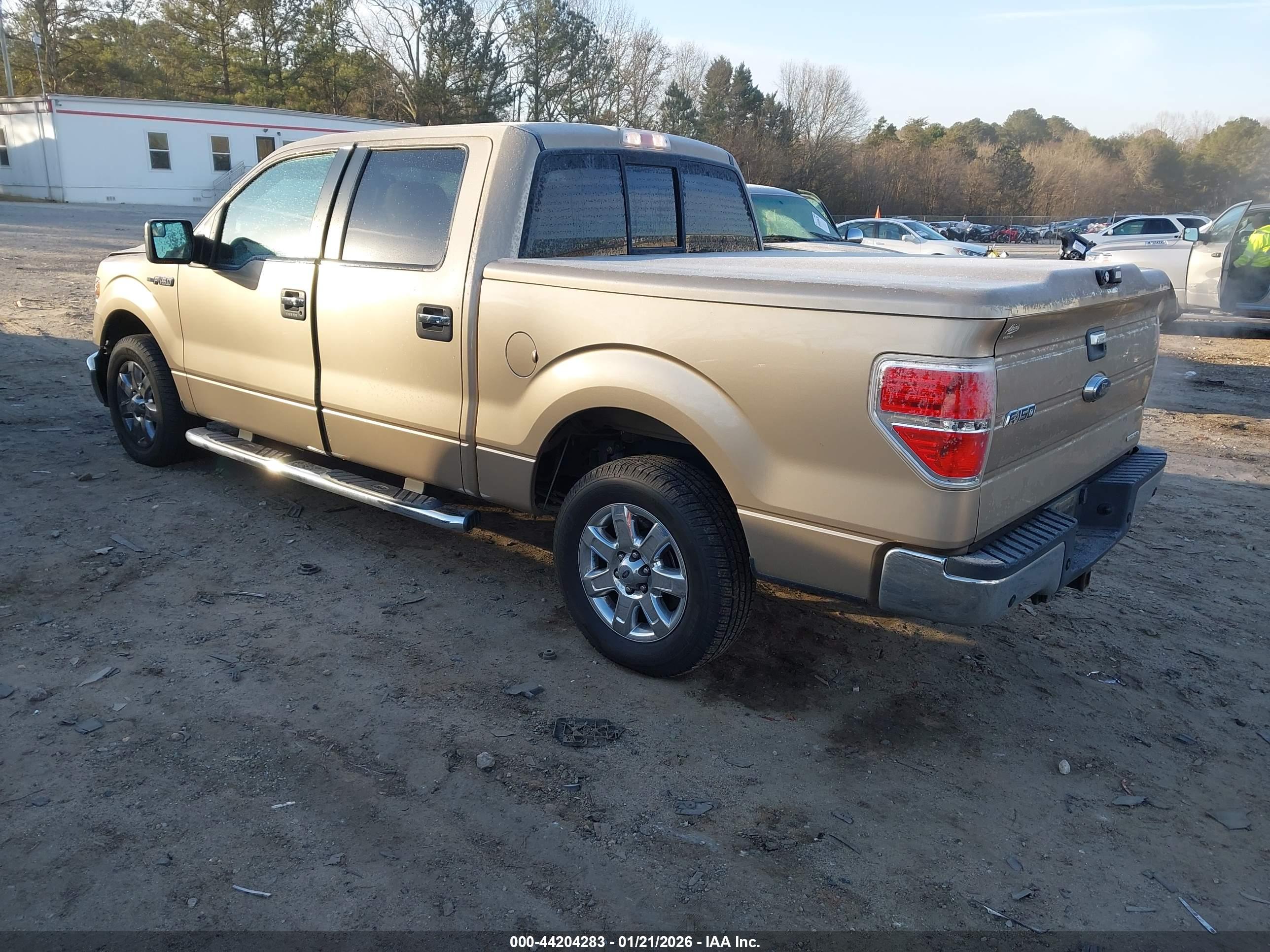 FORD F-150 image 3