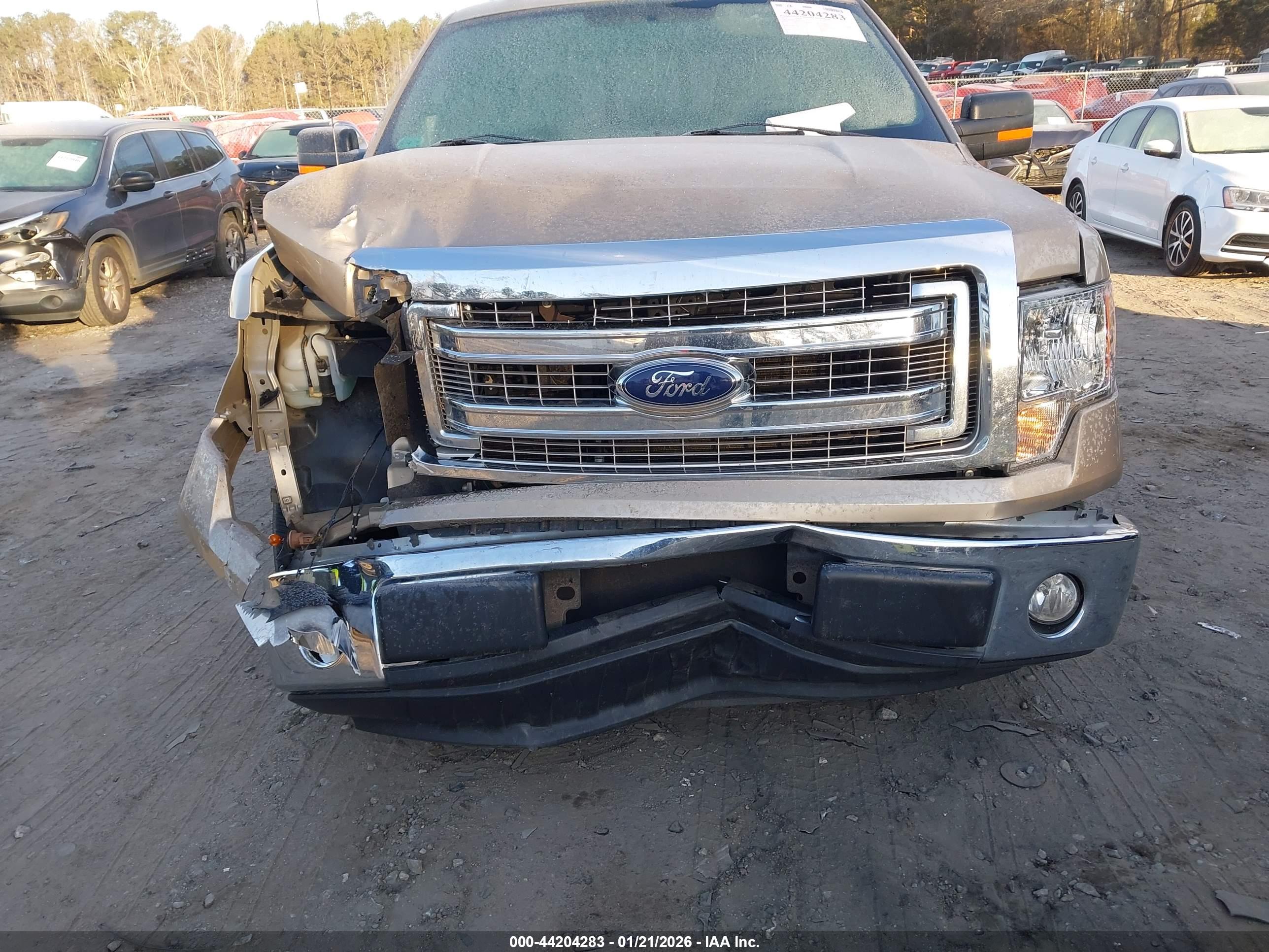 FORD F-150 image 6