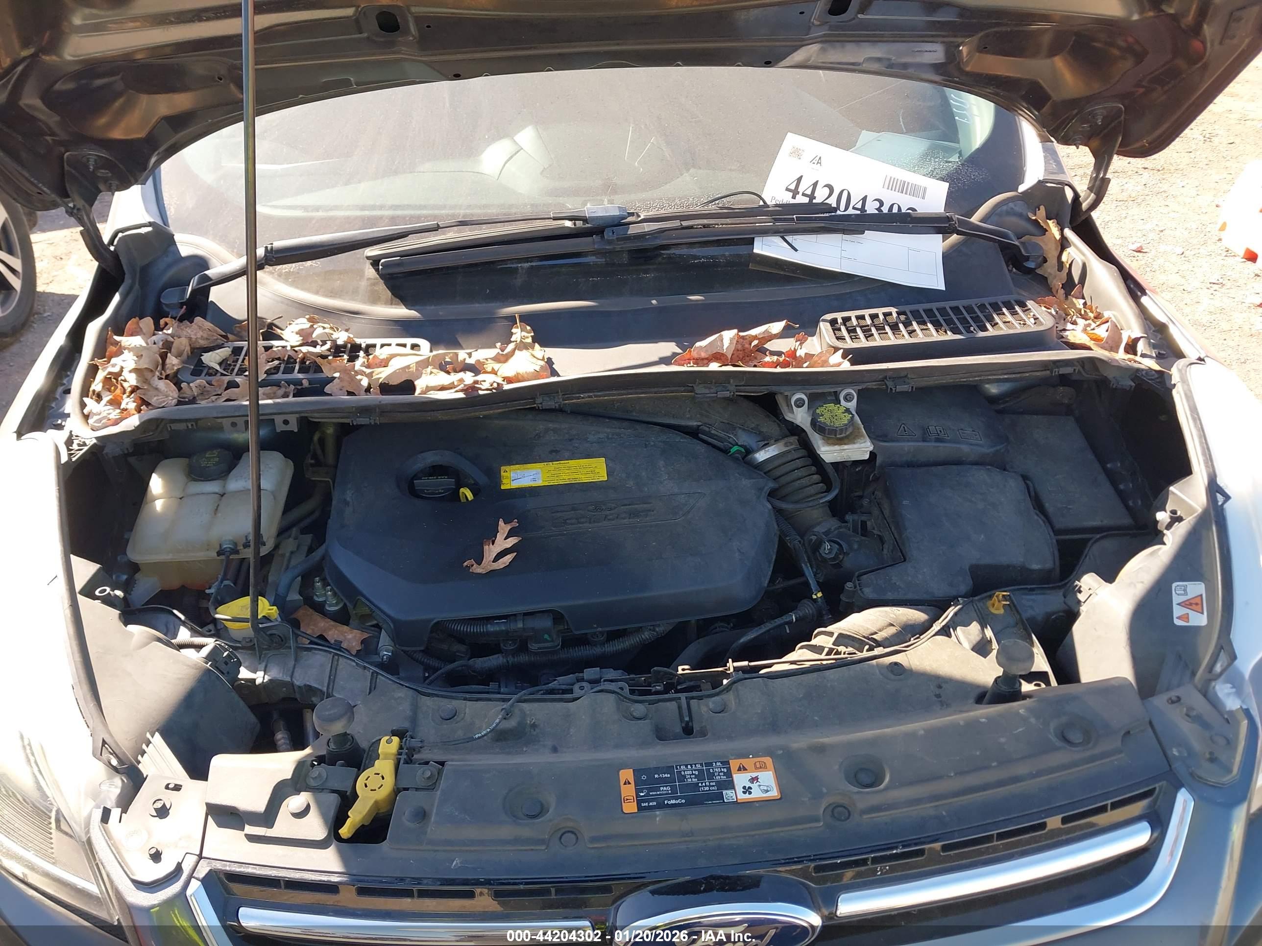 FORD ESCAPE image 10