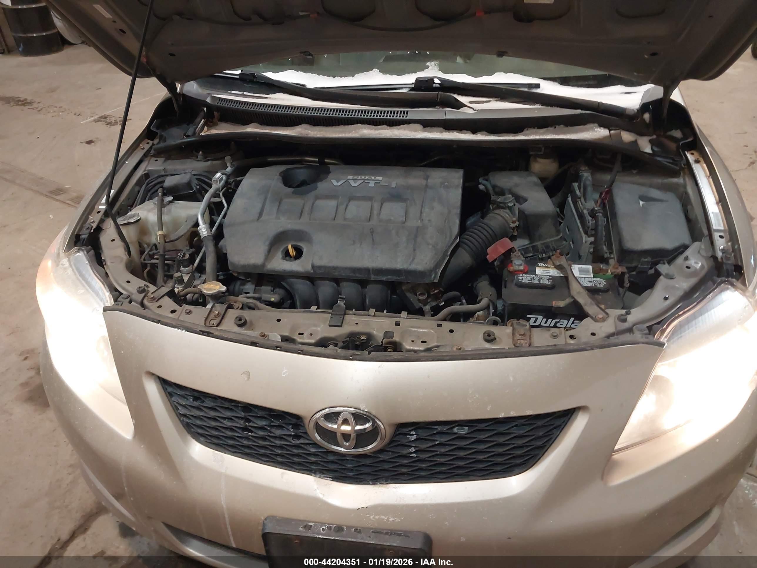TOYOTA COROLLA image 10