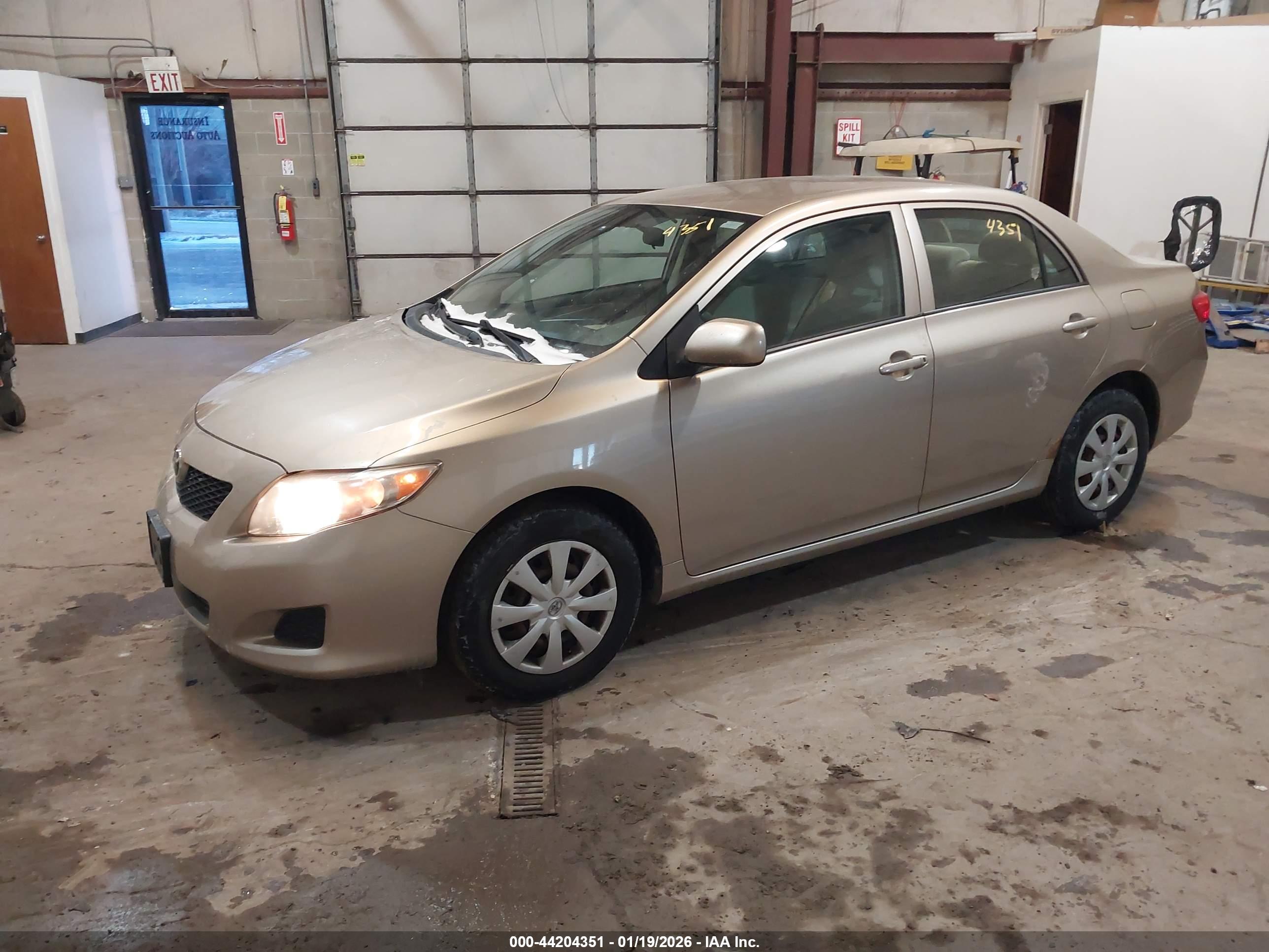 TOYOTA COROLLA image 2