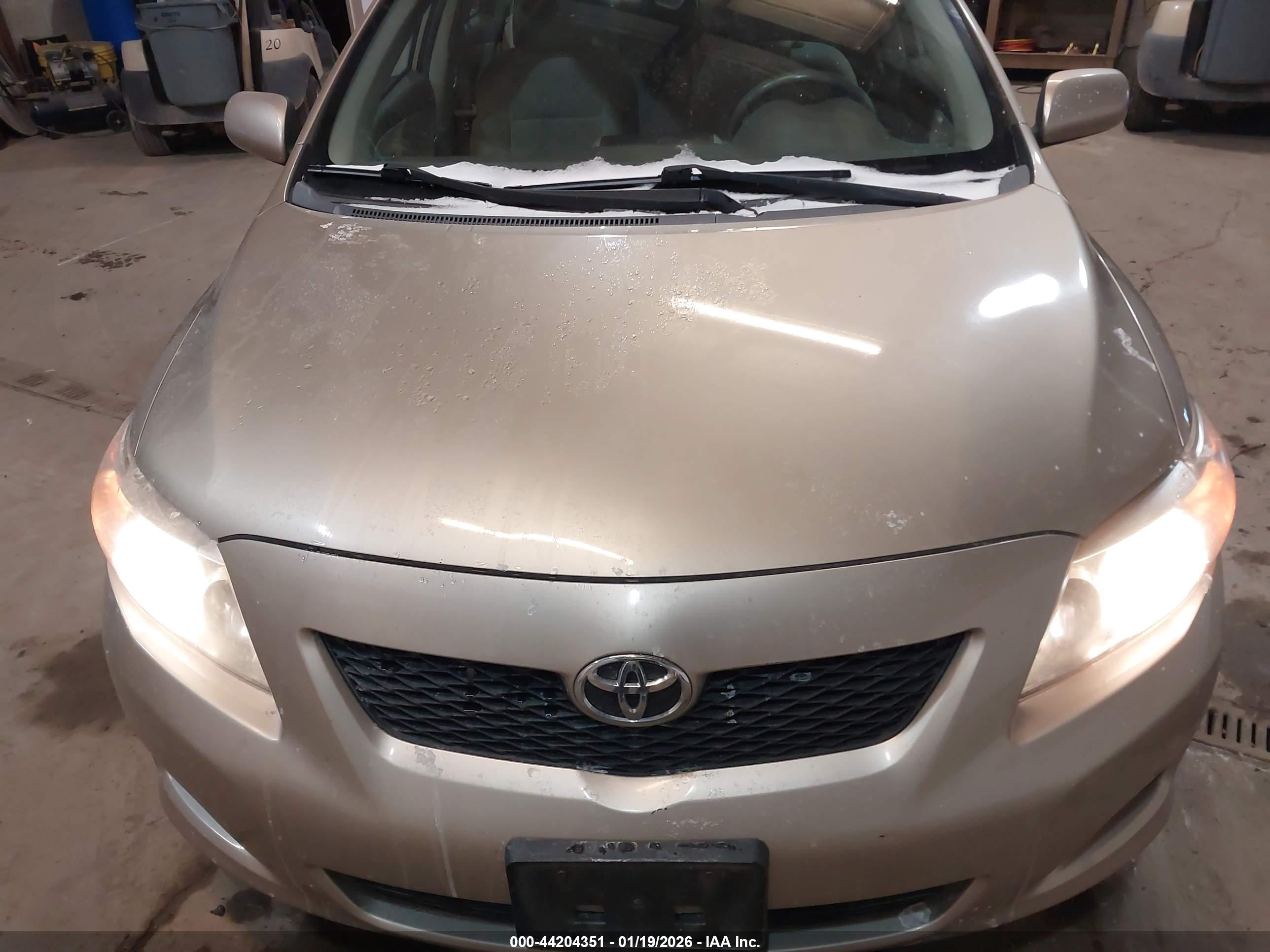 TOYOTA COROLLA image 6