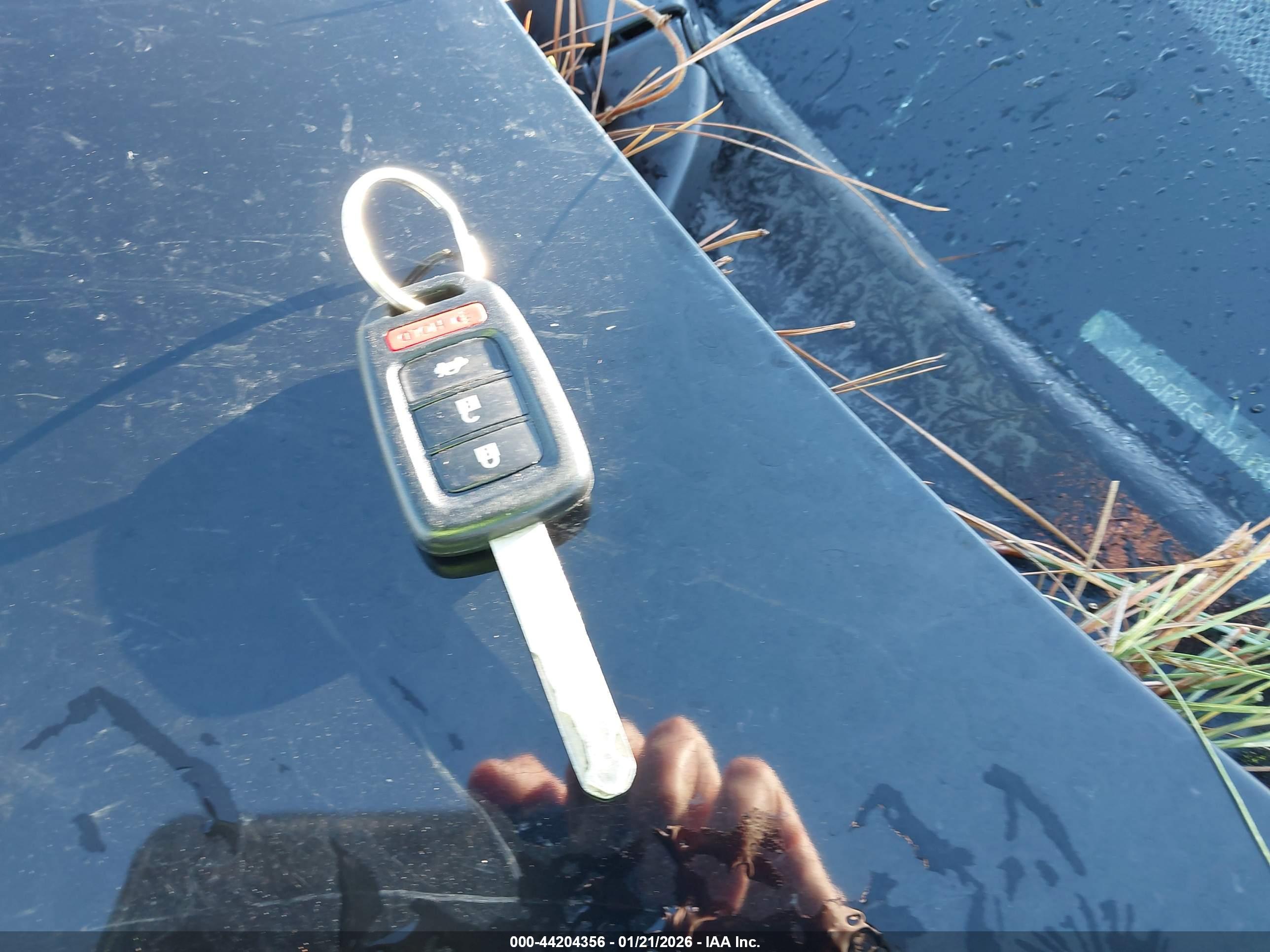 HONDA ACCORD image 11