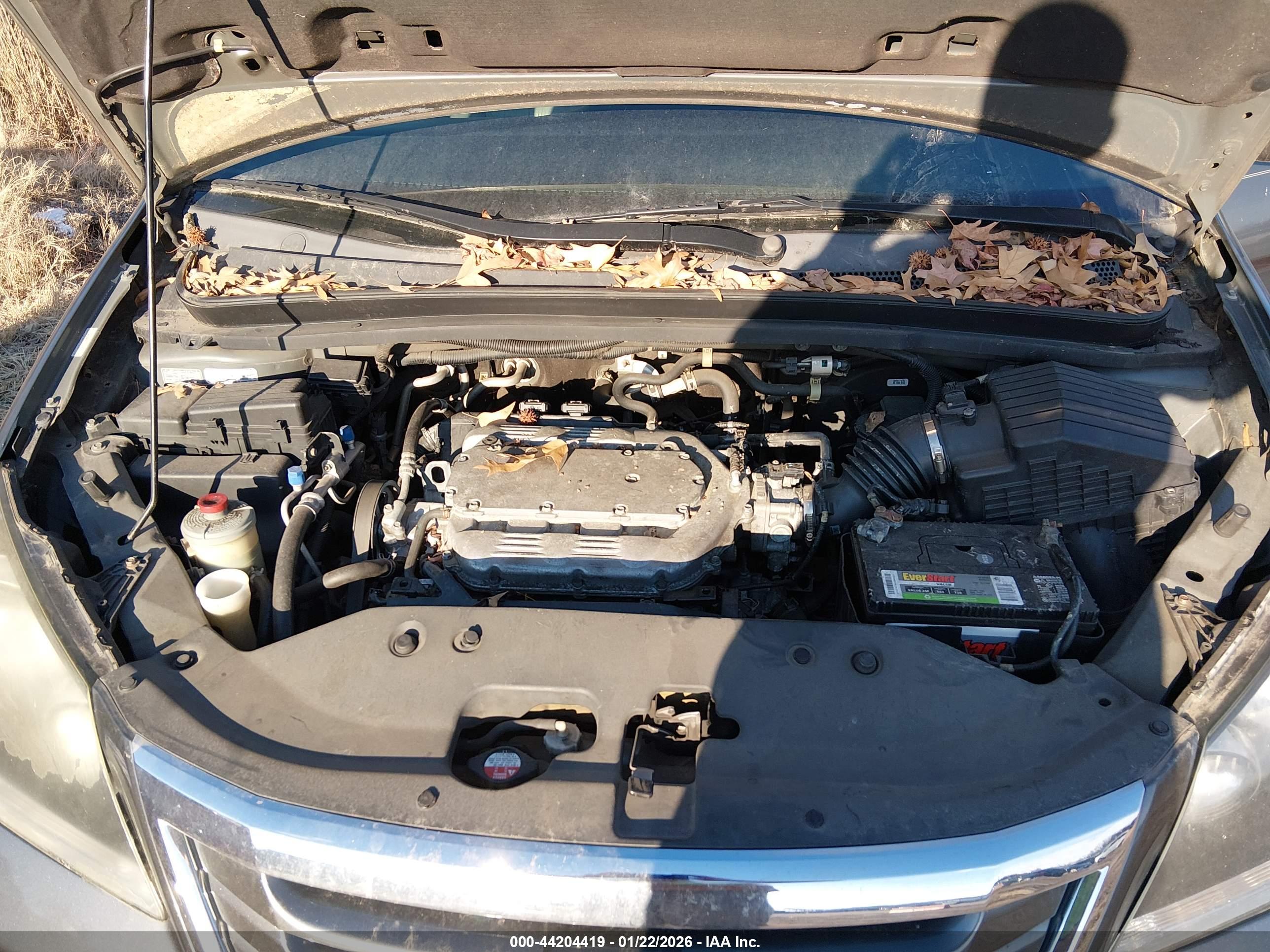 HONDA ODYSSEY image 10