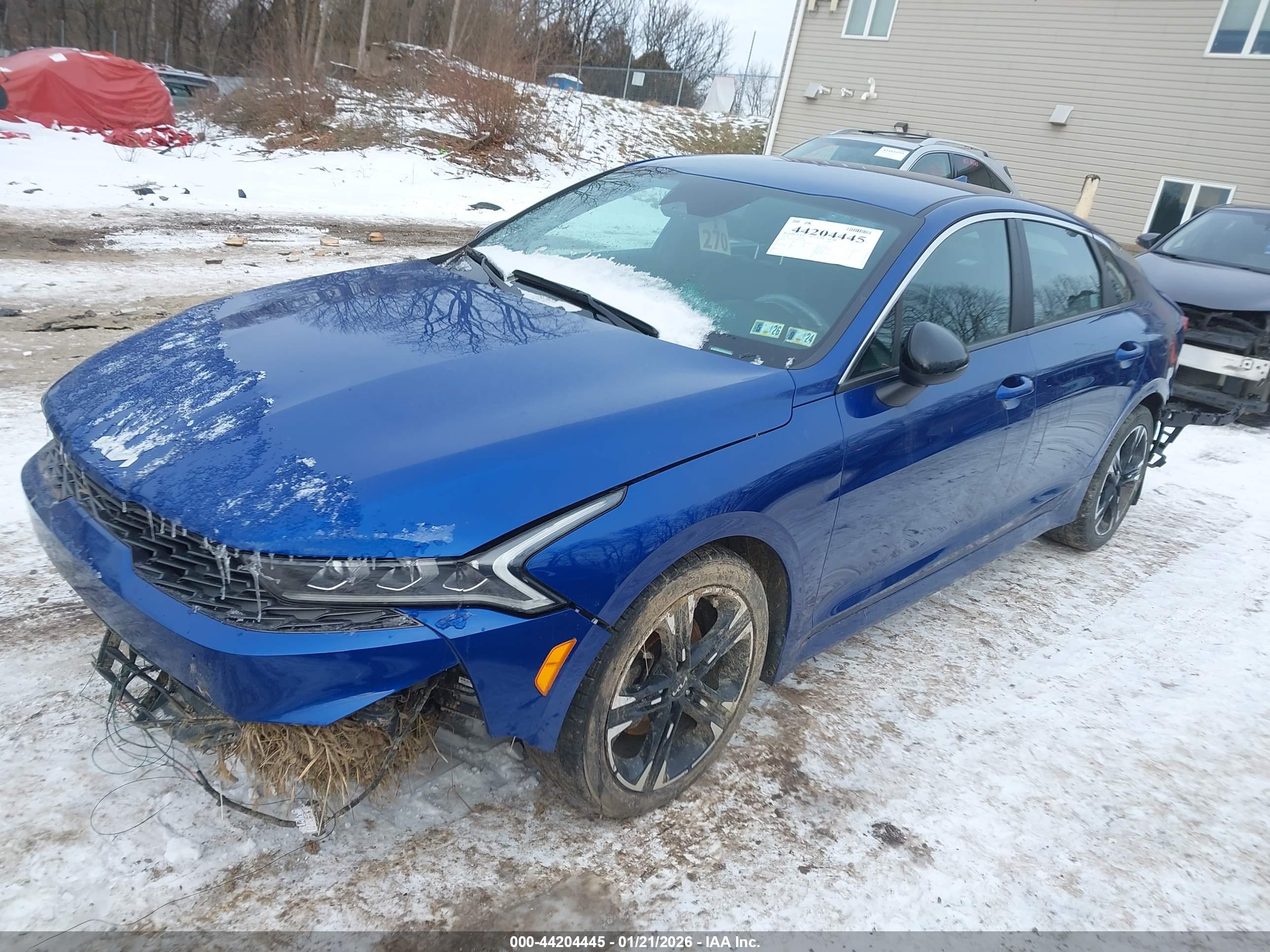 KIA K5 image 2