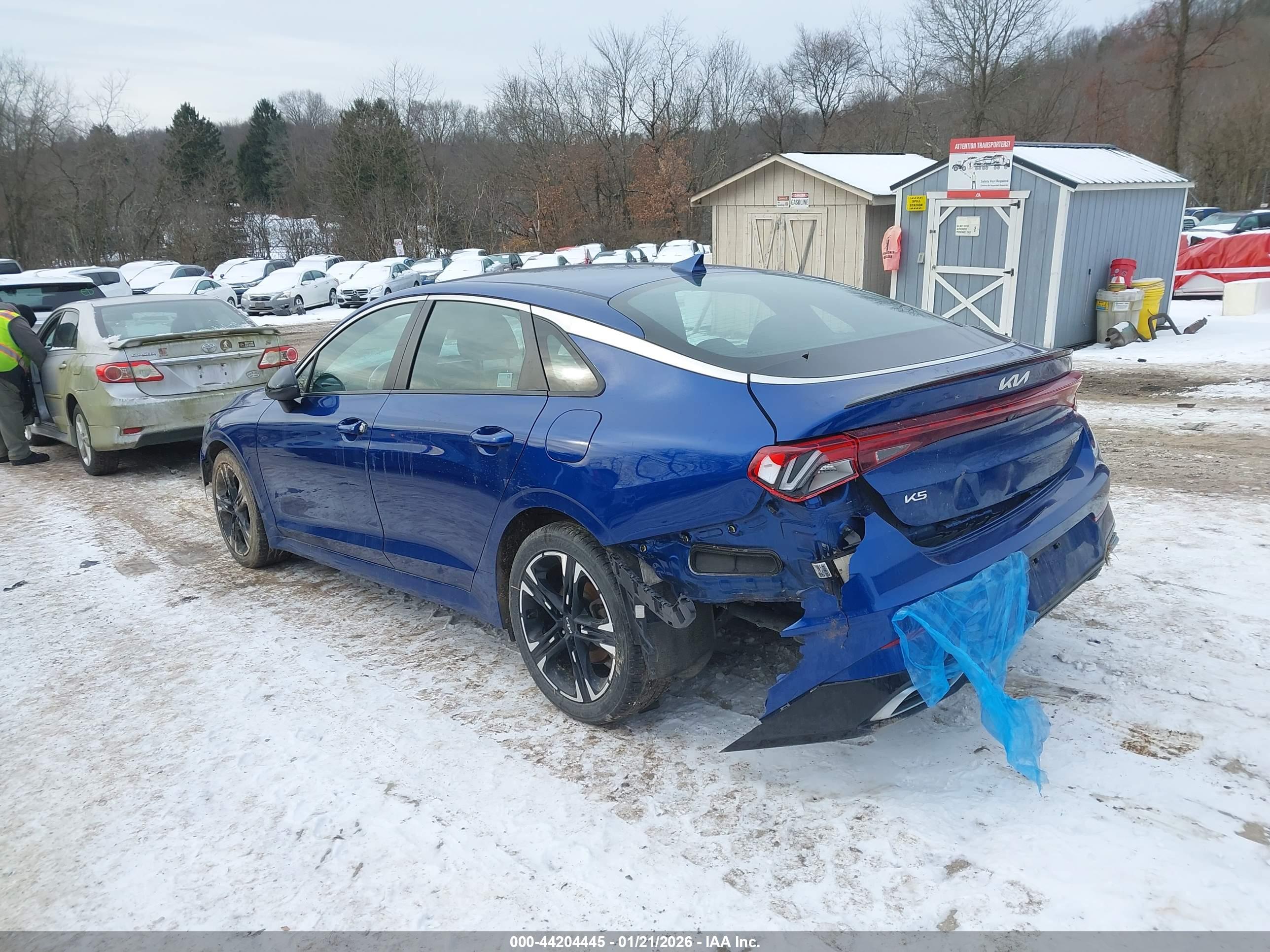 KIA K5 image 3