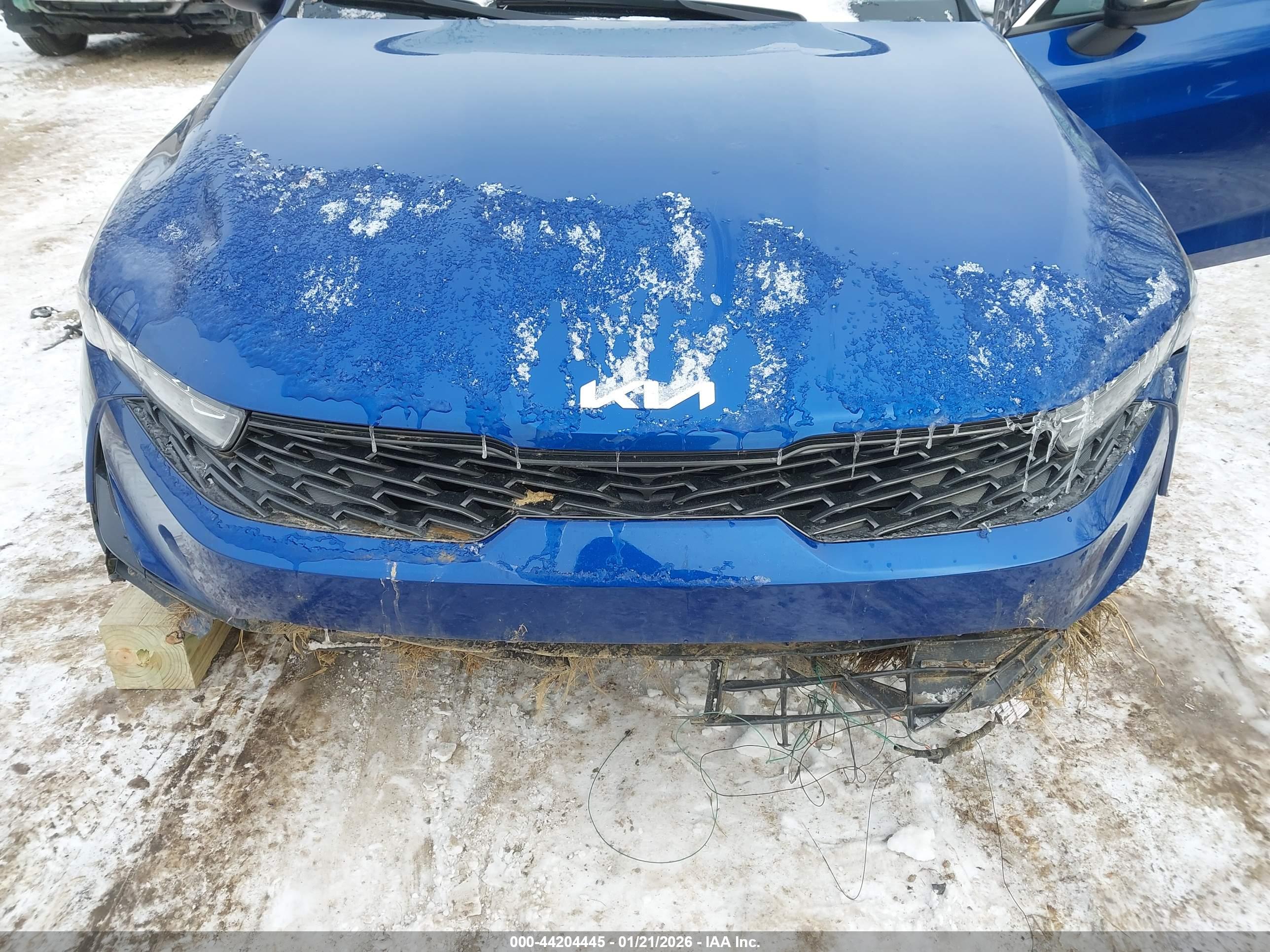 KIA K5 image 6