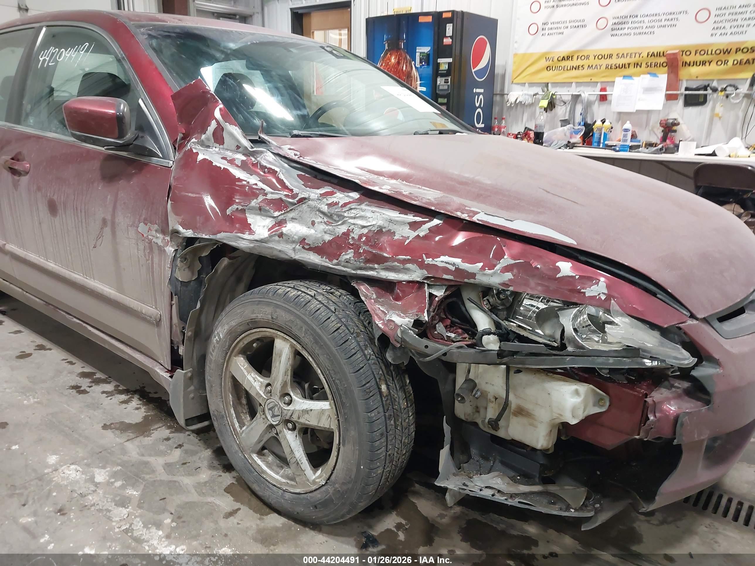 HONDA ACCORD image 6