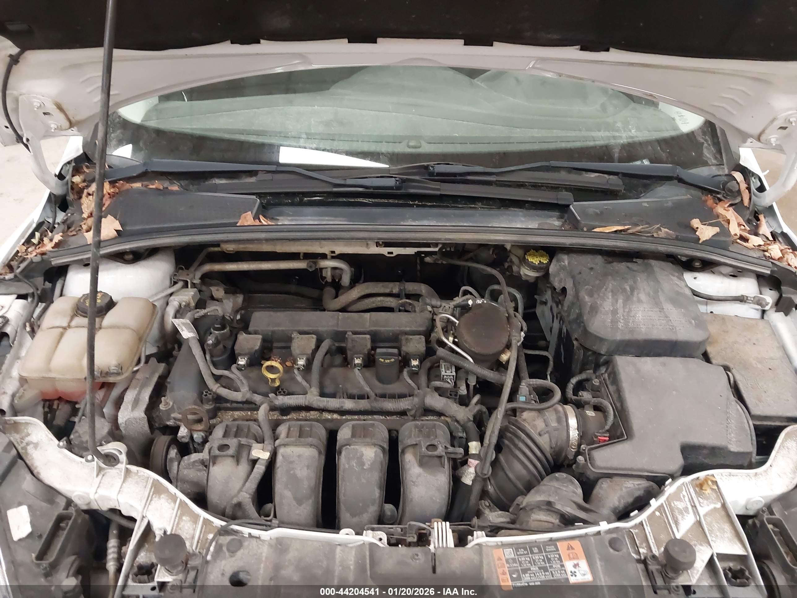 FORD FOCUS image 10