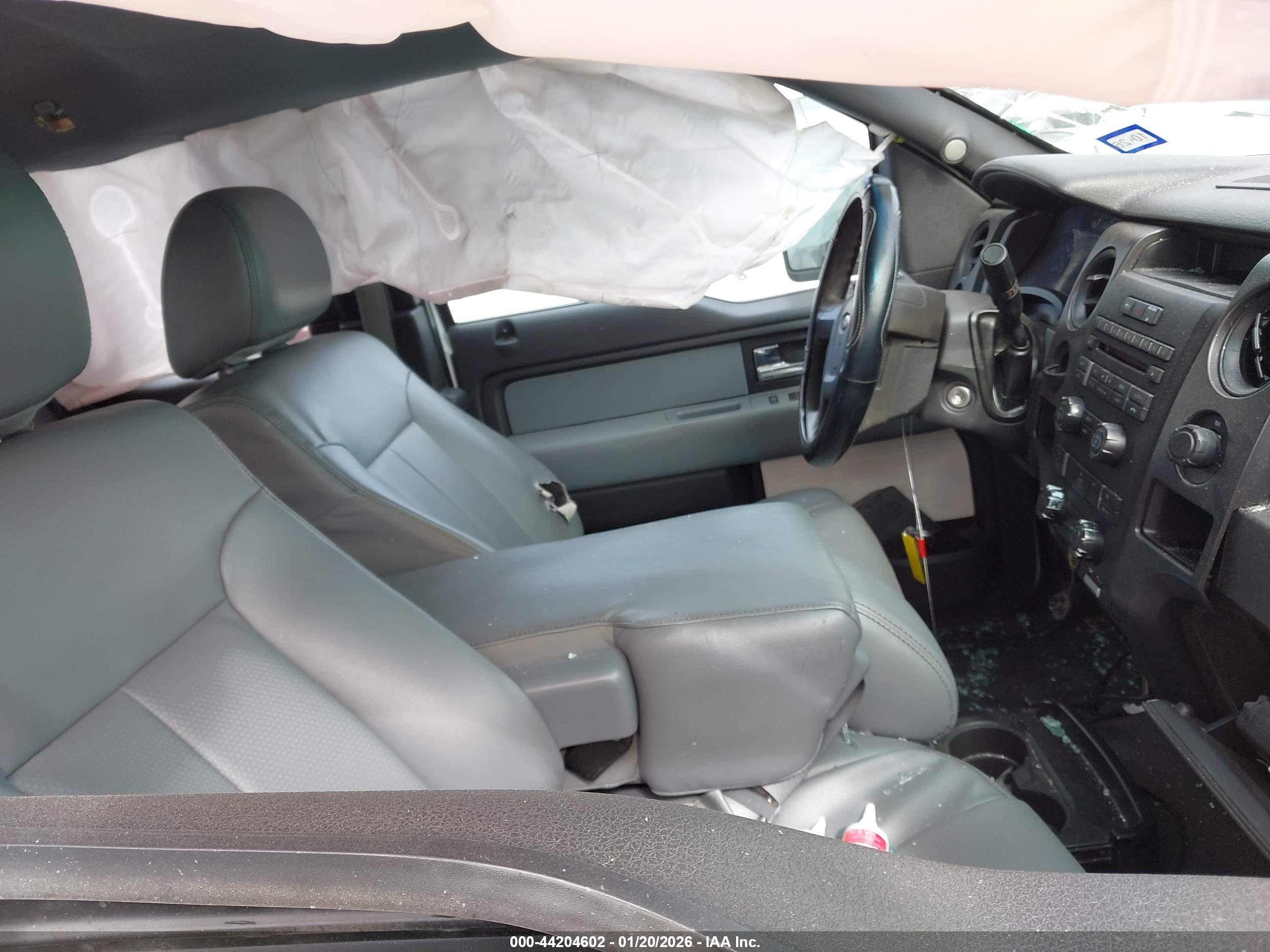 FORD F-150 image 5