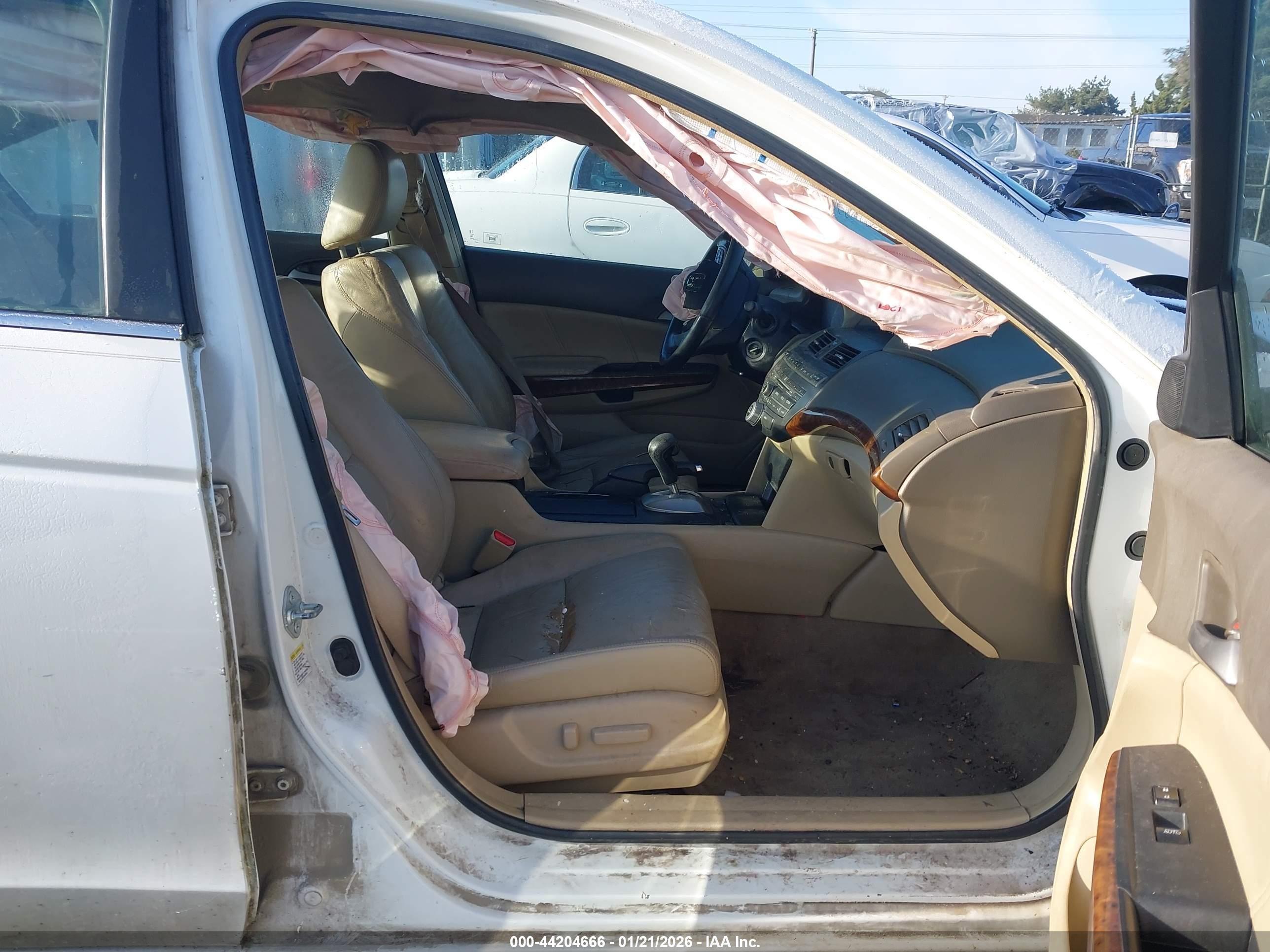 HONDA ACCORD image 5