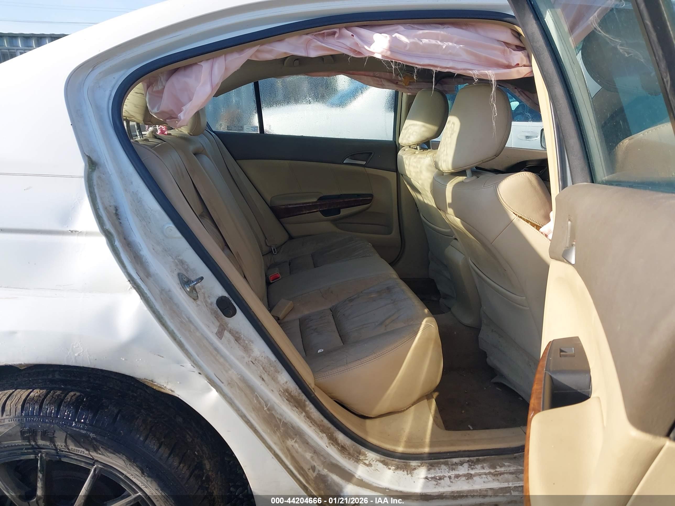 HONDA ACCORD image 8