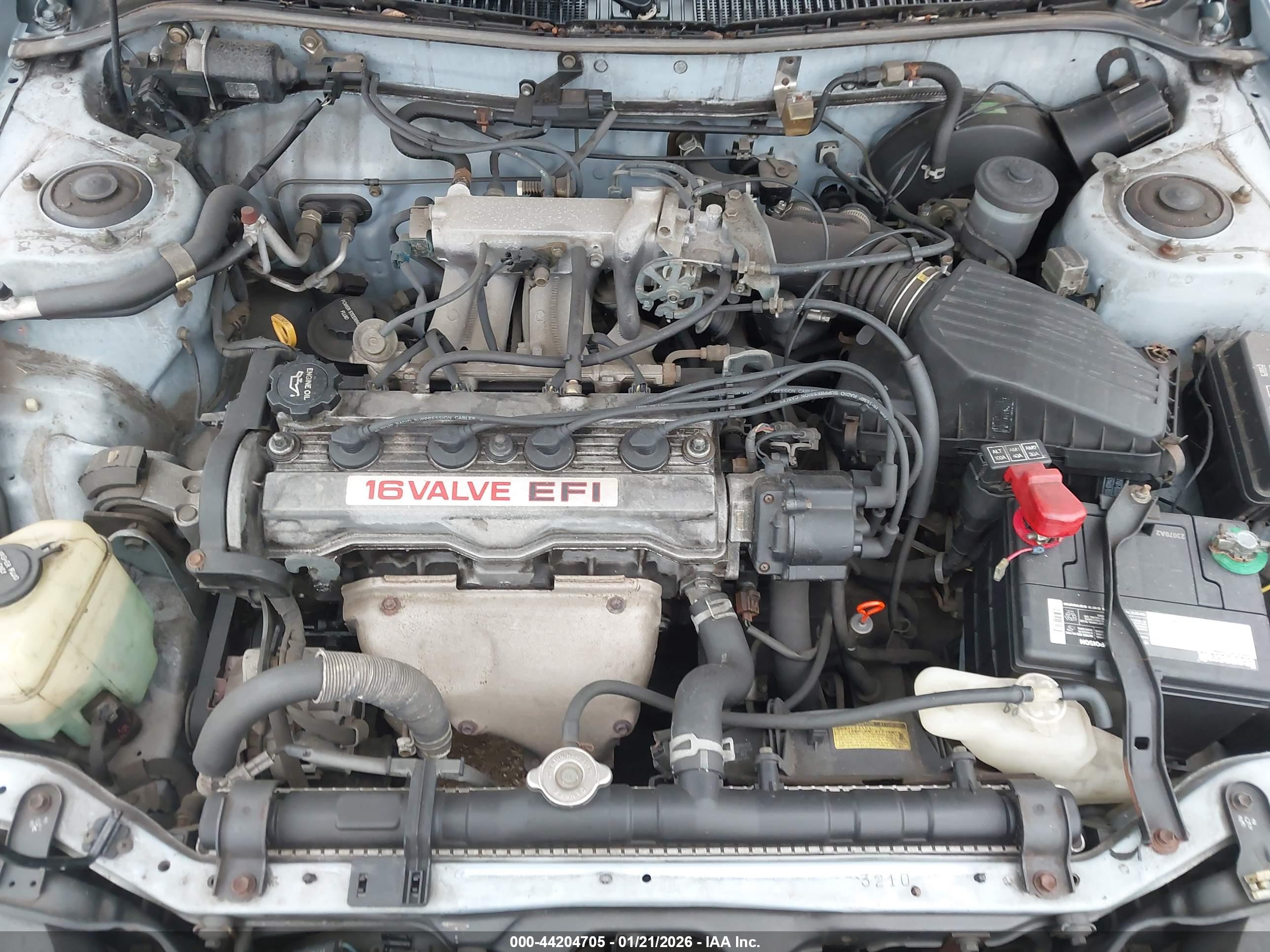 TOYOTA COROLLA image 10