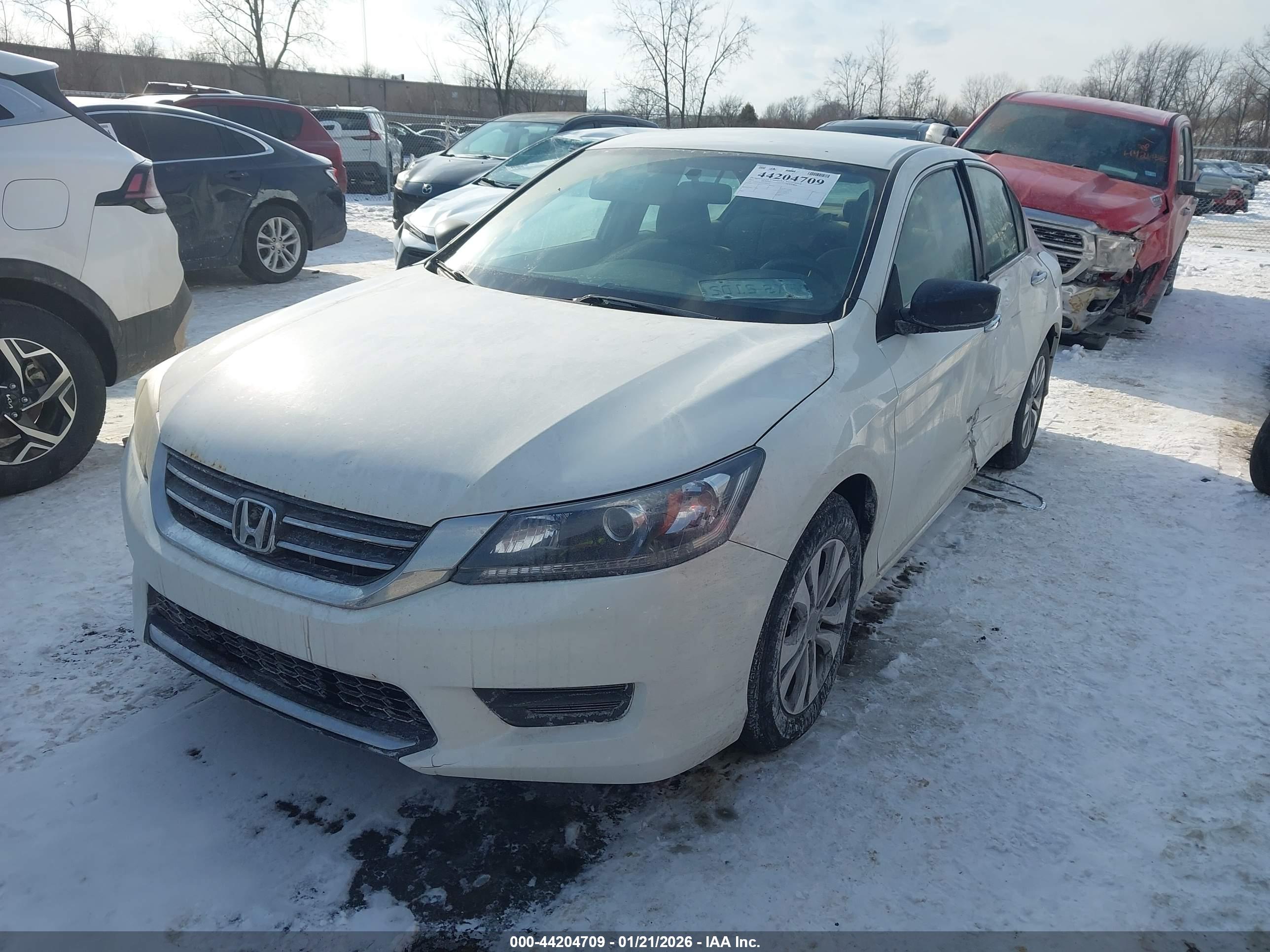 HONDA ACCORD image 2