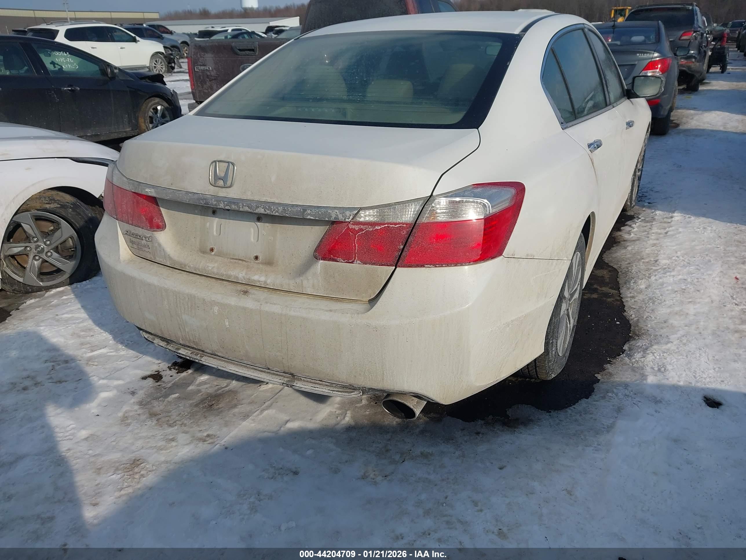 HONDA ACCORD image 4