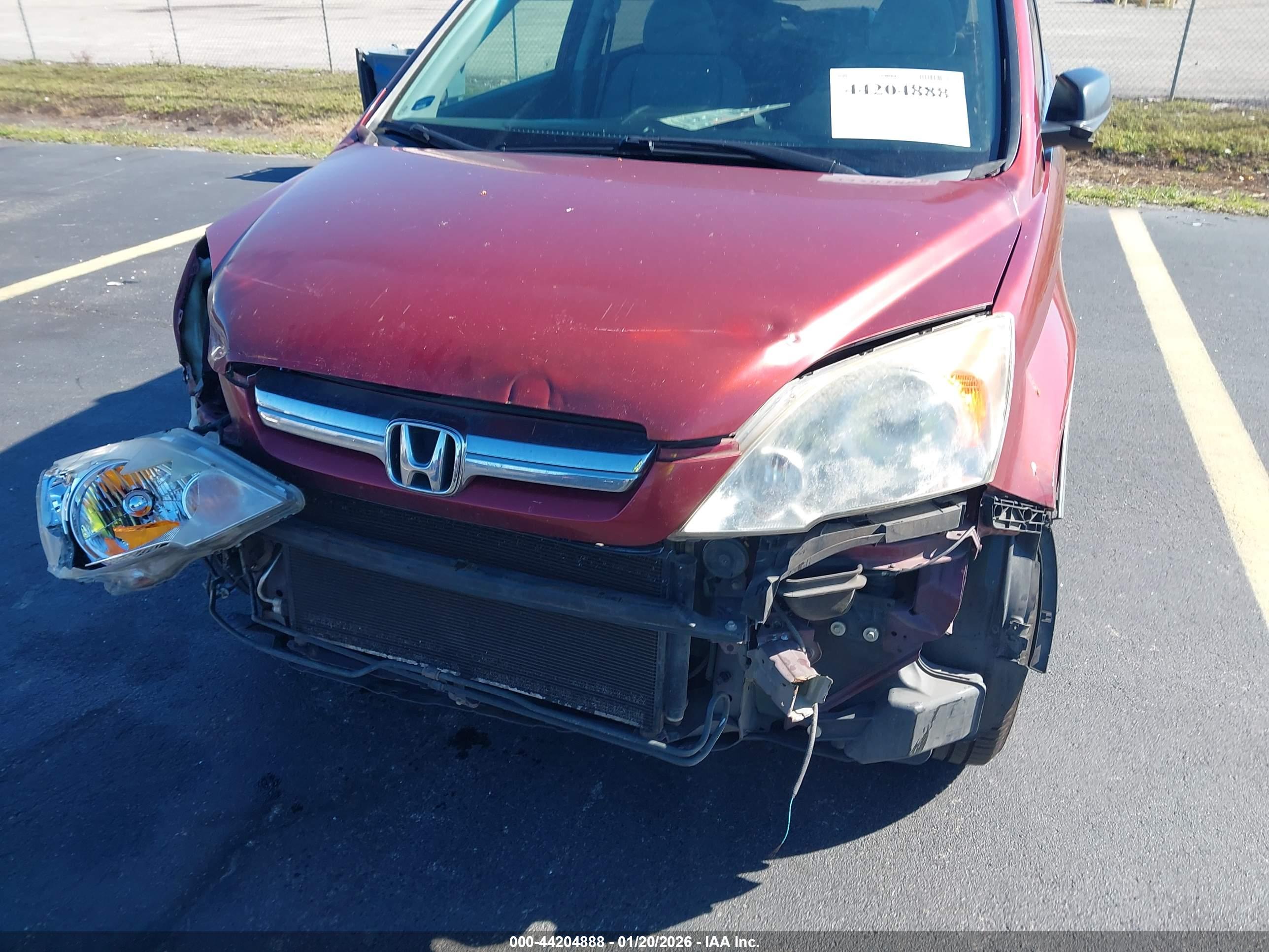 HONDA CR-V image 6
