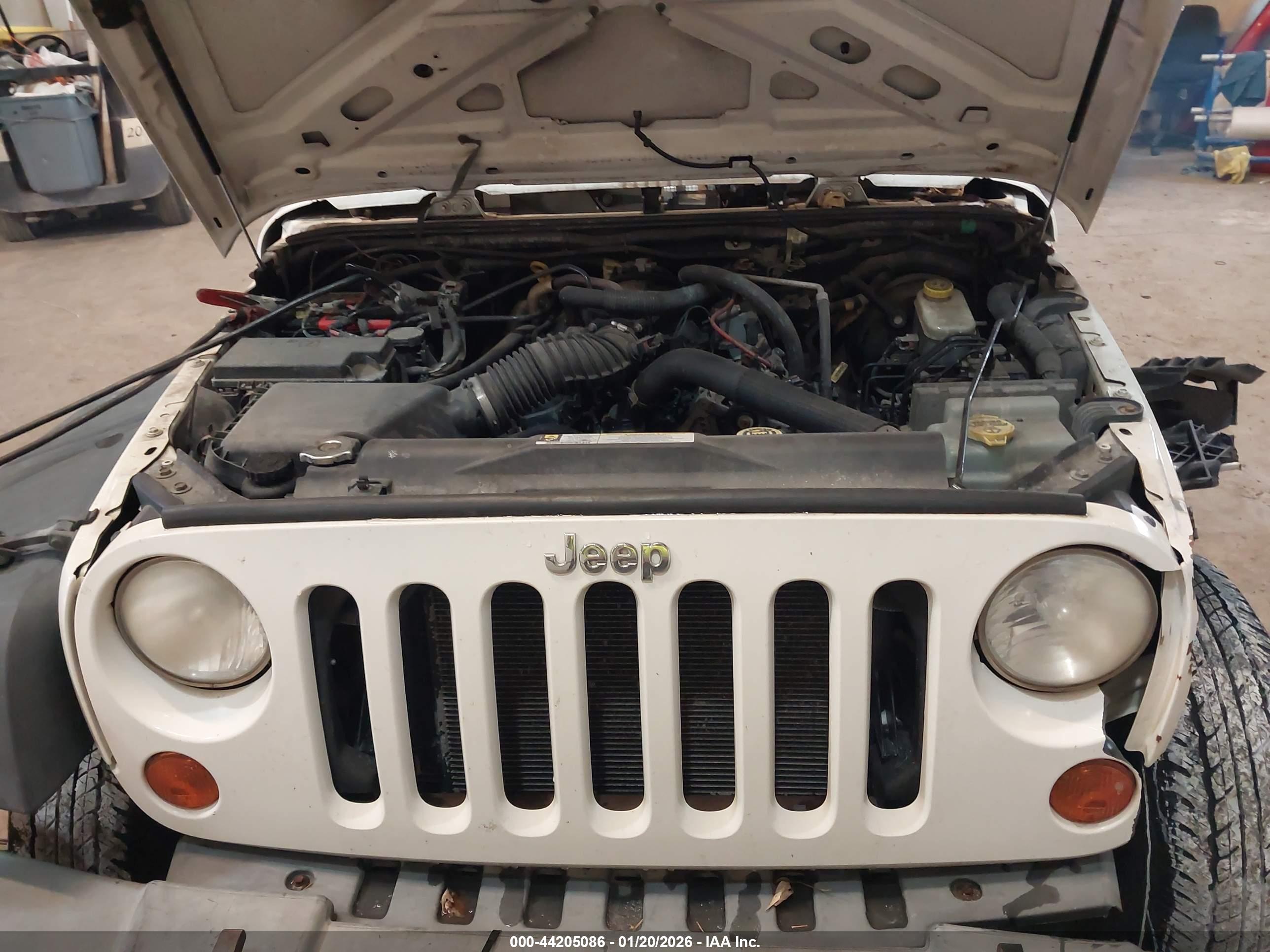 JEEP WRANGLER image 10