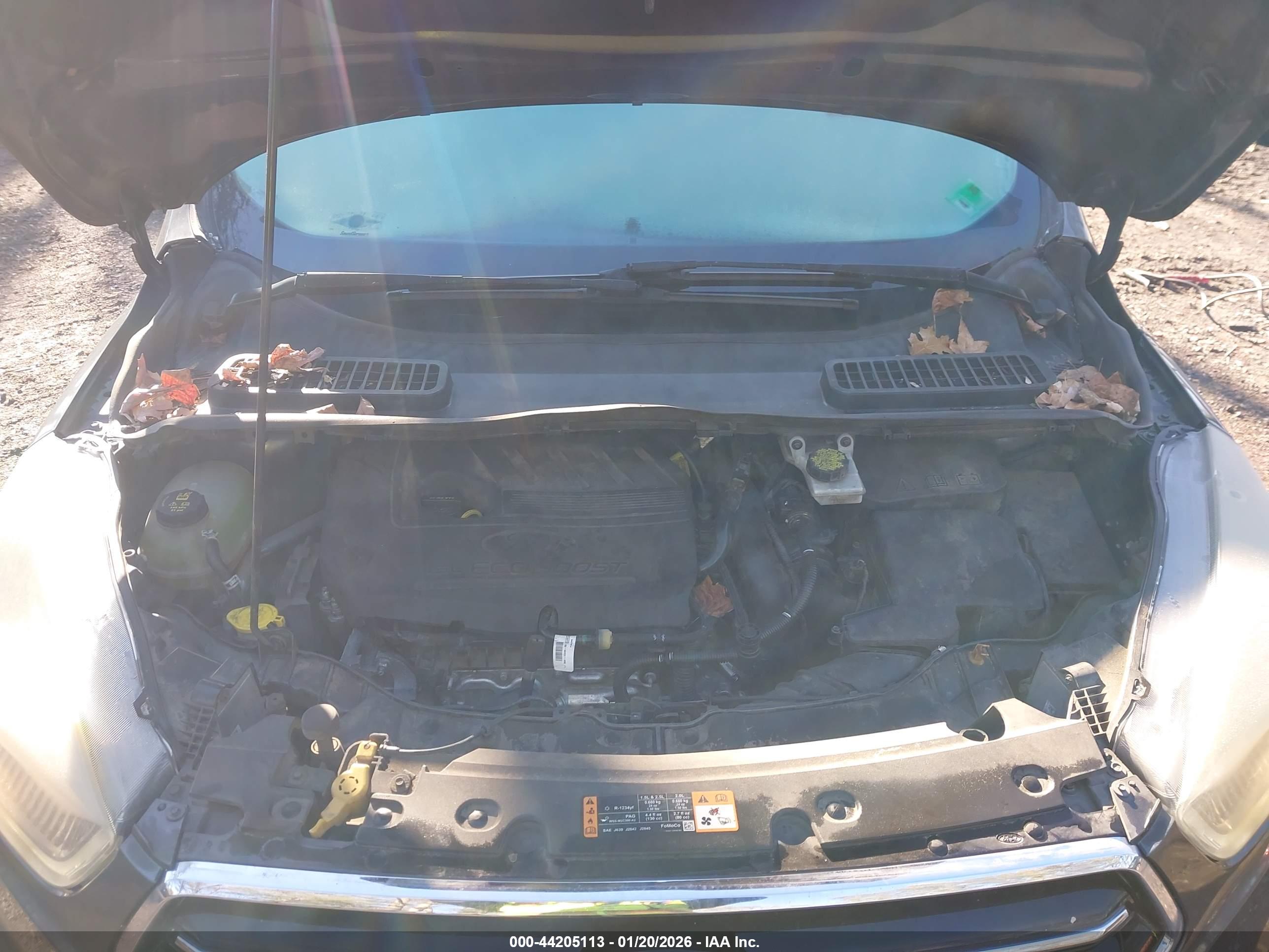 FORD ESCAPE image 10