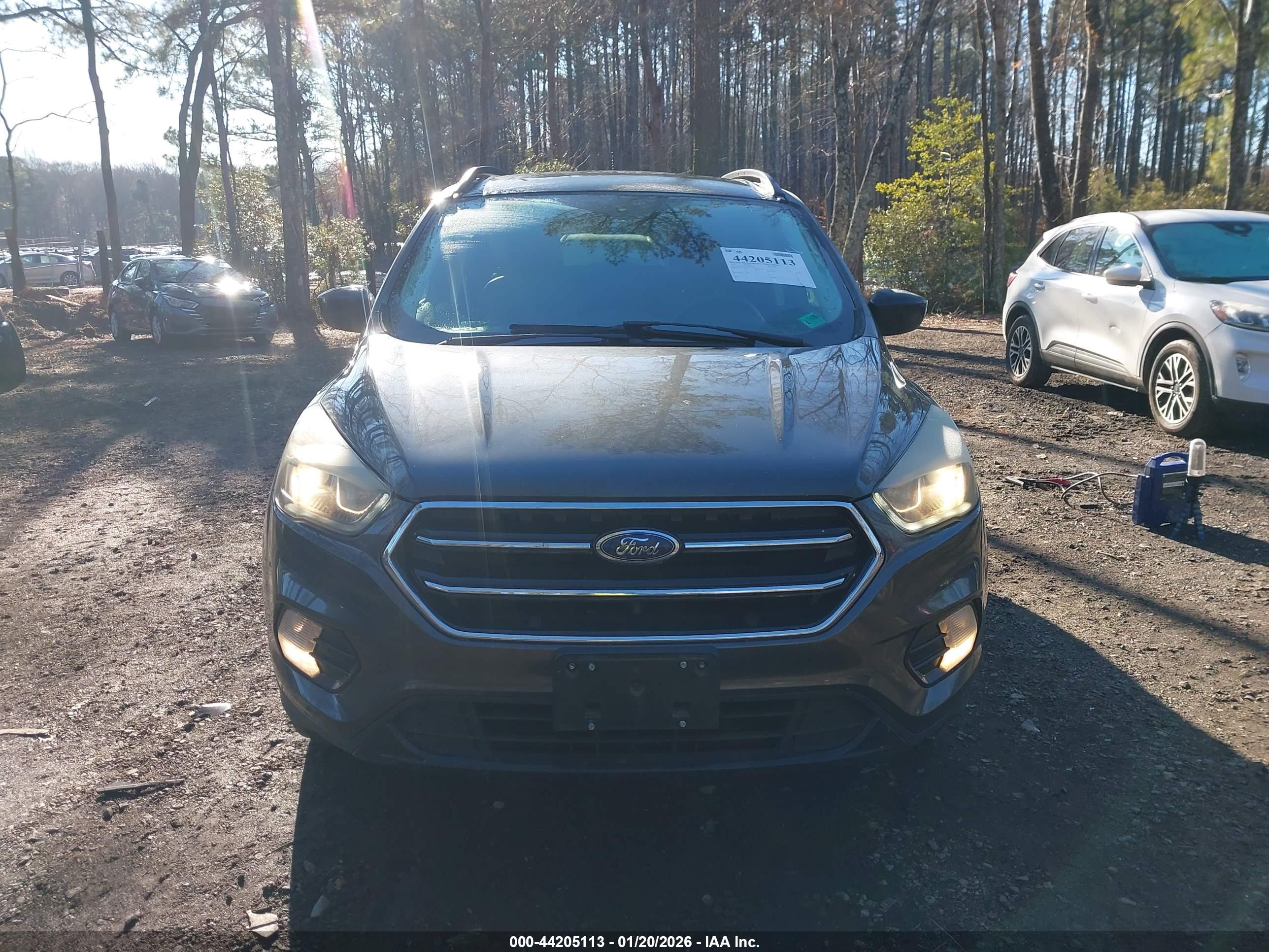 FORD ESCAPE image 6