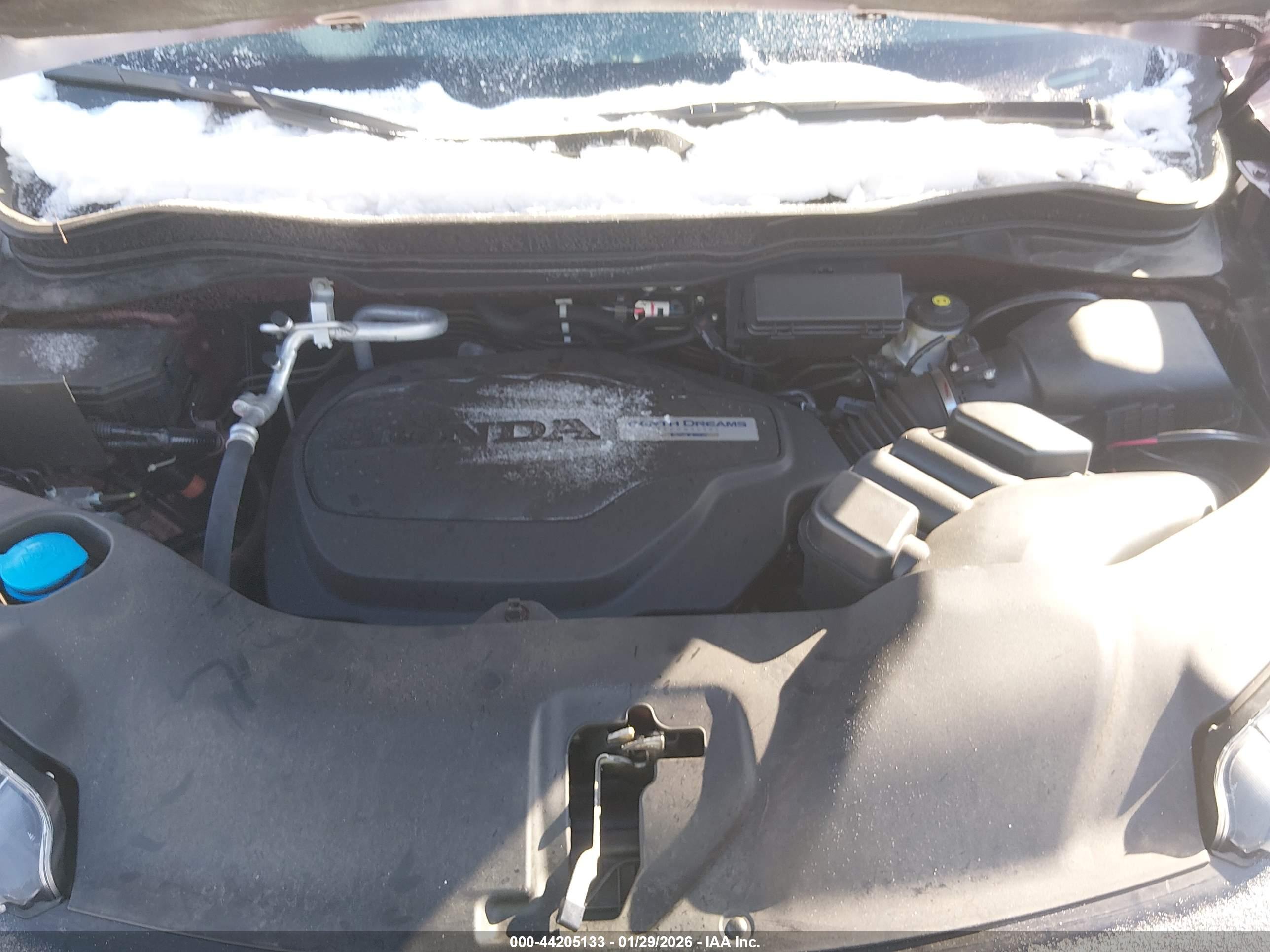HONDA PASSPORT image 10