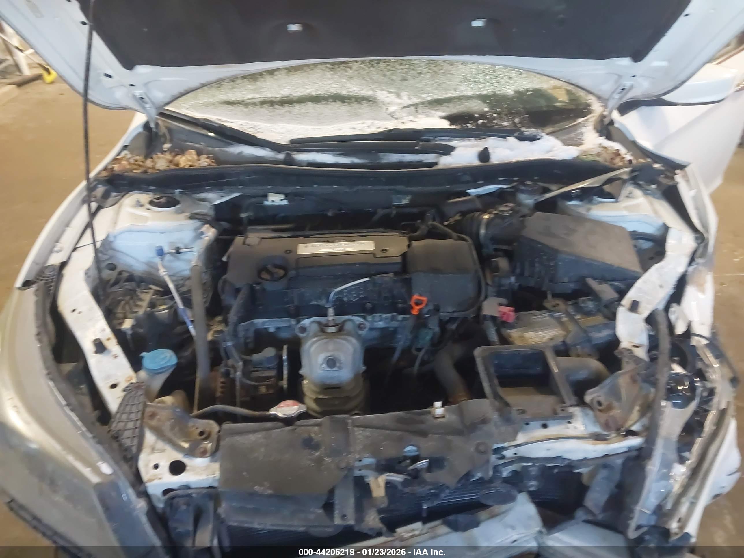 HONDA ACCORD image 10