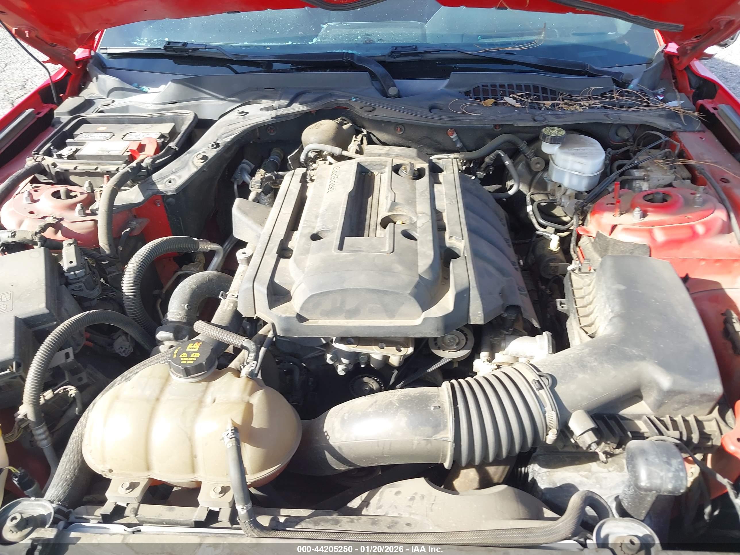 FORD MUSTANG image 10